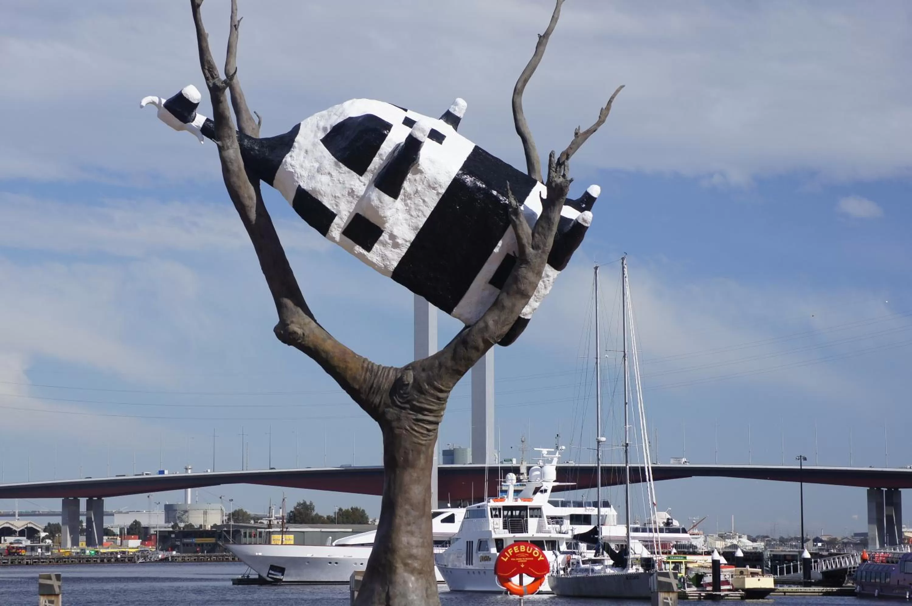 Area and facilities in Docklands Private Collection - NEWQUAY