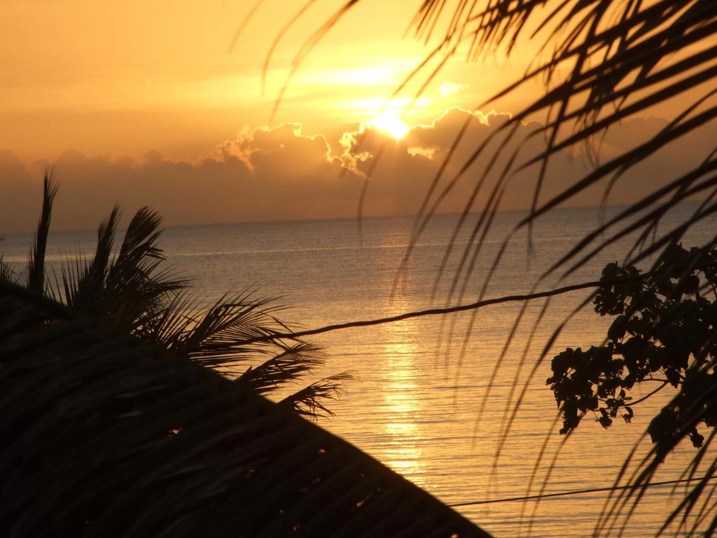 Sea view, Sunrise/Sunset in BlueBelize B&B
