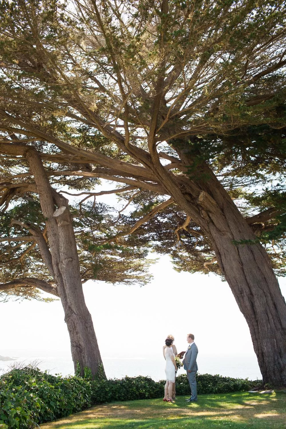 wedding in Agate Cove Inn