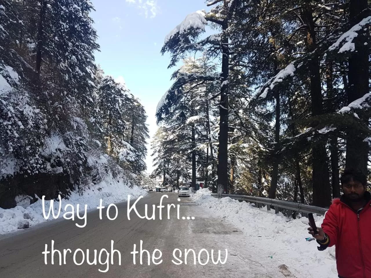 Natural landscape in Sai Cottage Shimla