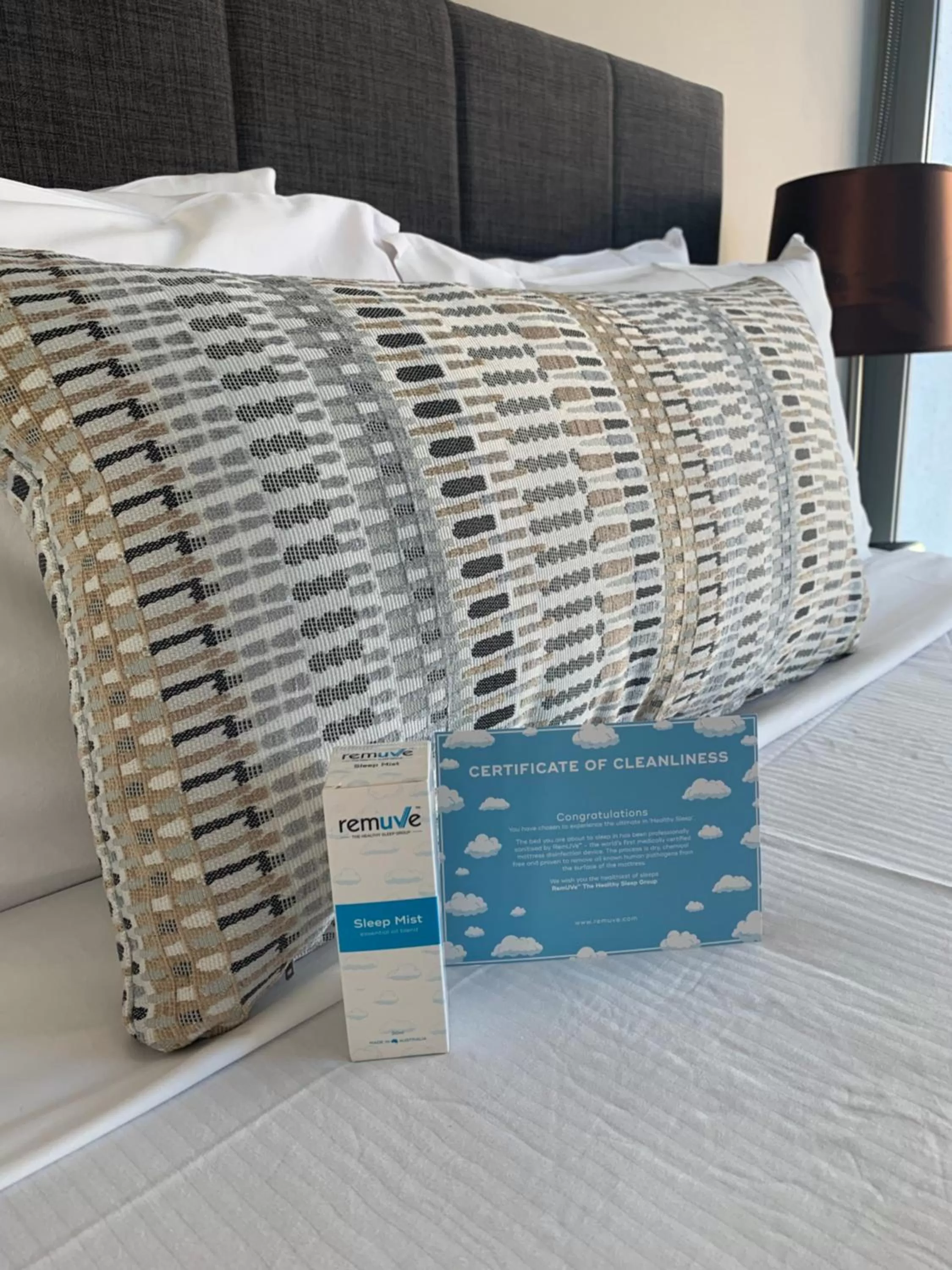 Bedroom, Bed in Evolution Apartments