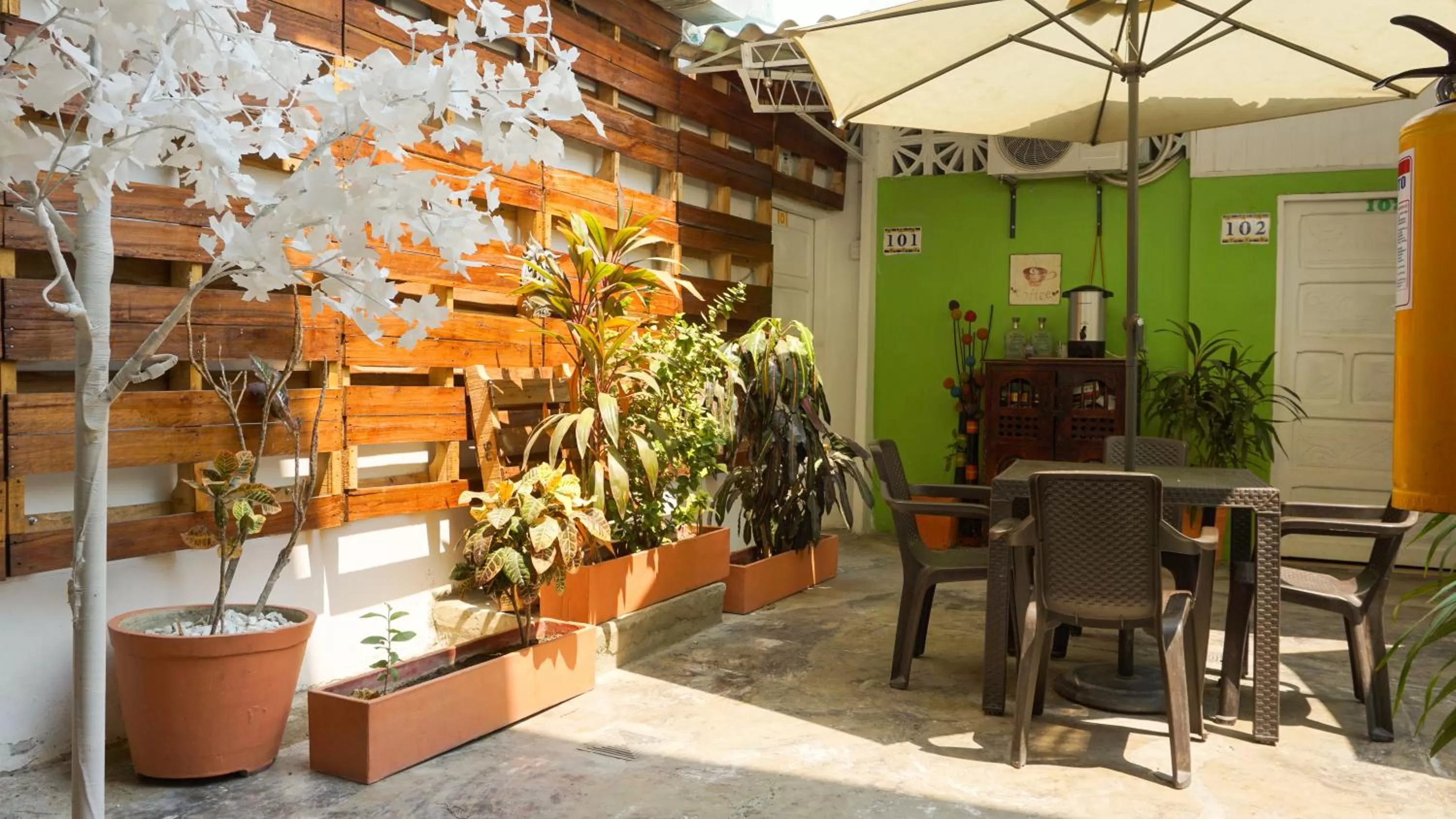 Day, Restaurant/Places to Eat in Hostal Paraiso Tayrona