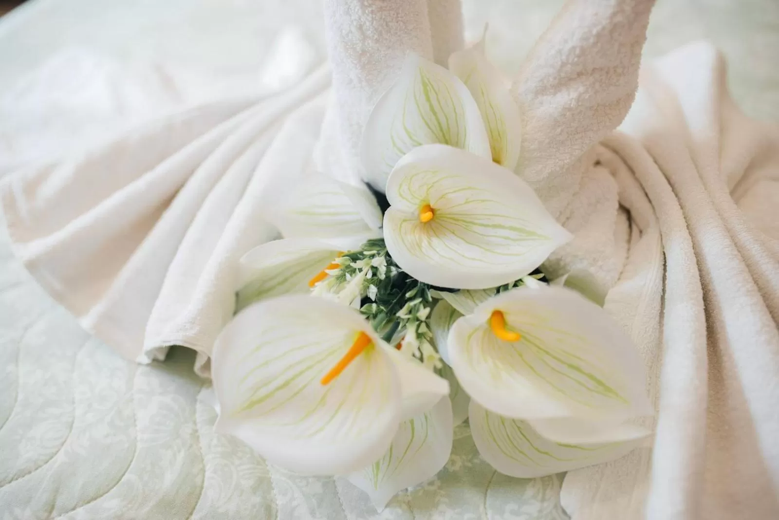 Decorative detail, Food in Hotel - Villa Lejla