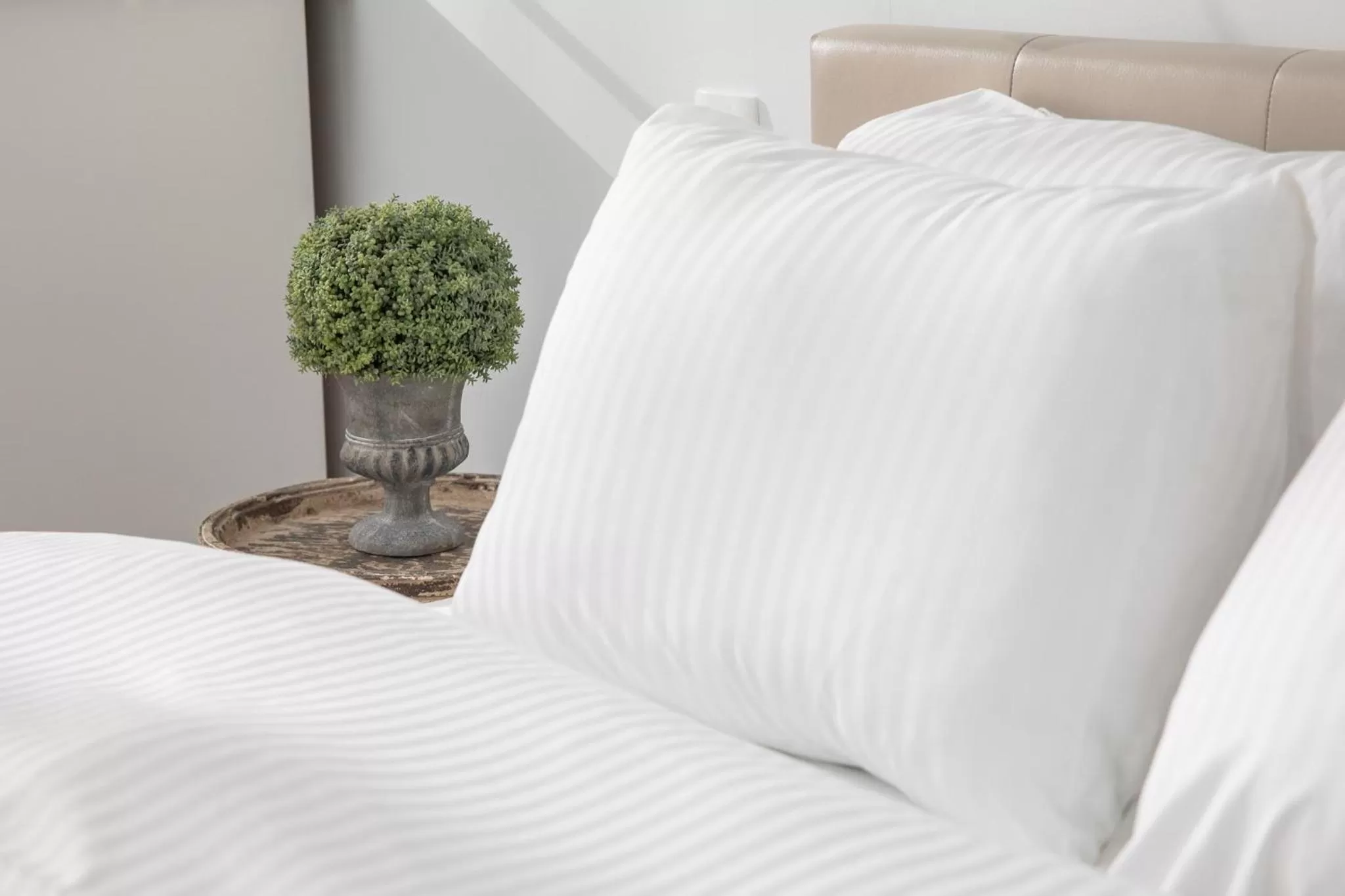 Bed in ALBERT RESIDENCE with PARKING