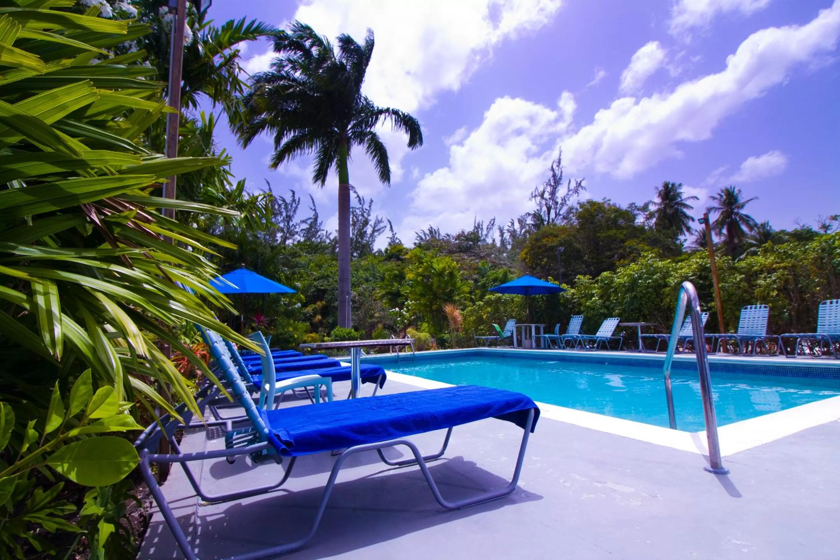 Swimming pool in Palm Garden Hotel Barbados