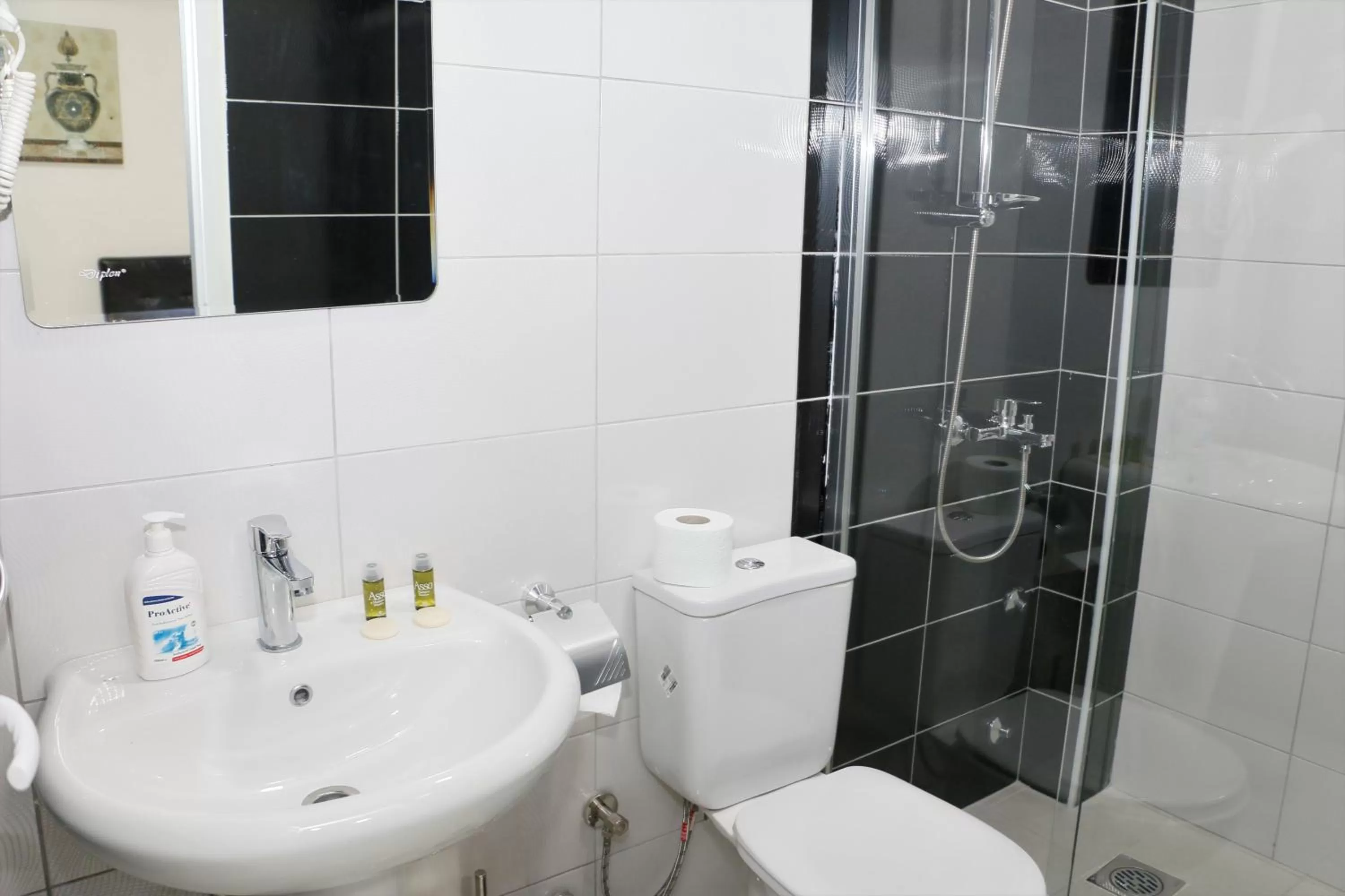 Shower, Bathroom in Hotel Old Konak