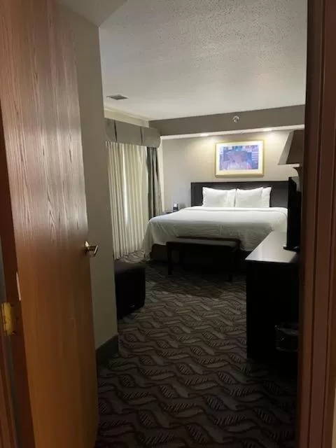 King Executive Suite - Non-Smoking in Wyndham Garden Madison Fitchburg