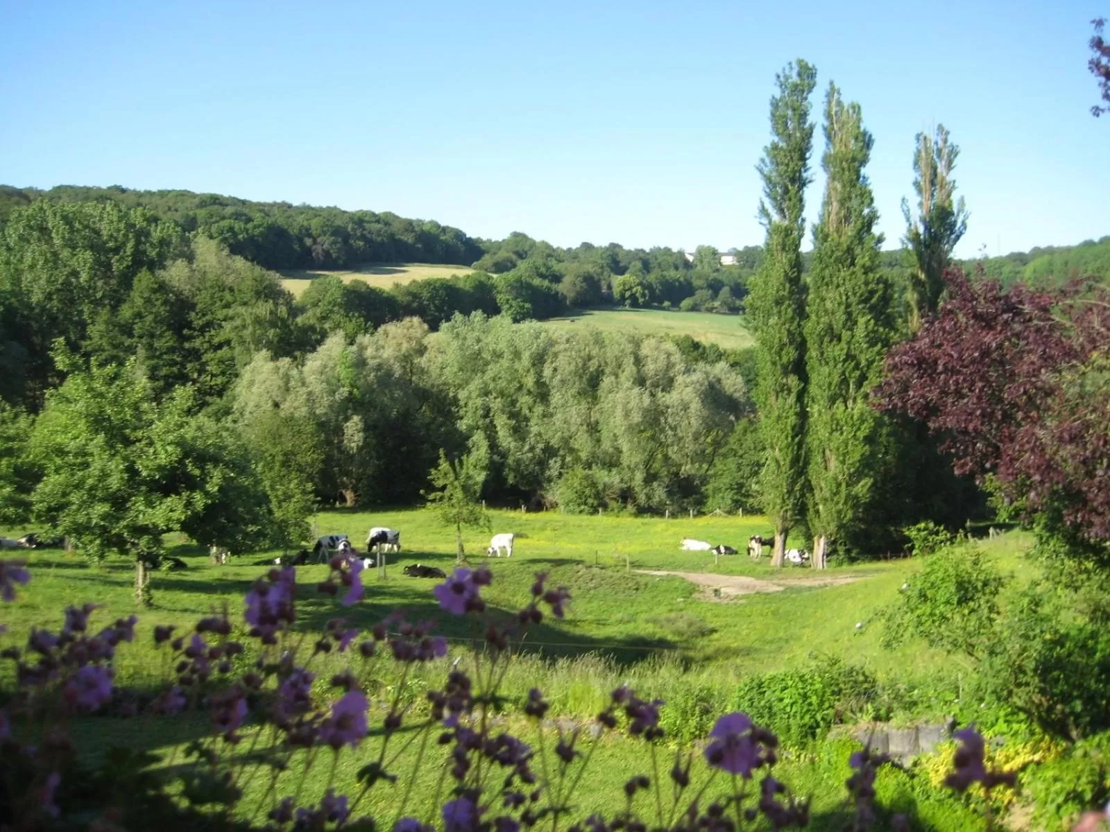 Animals in Hotel & Appartement de Zevende Heerlijkheid