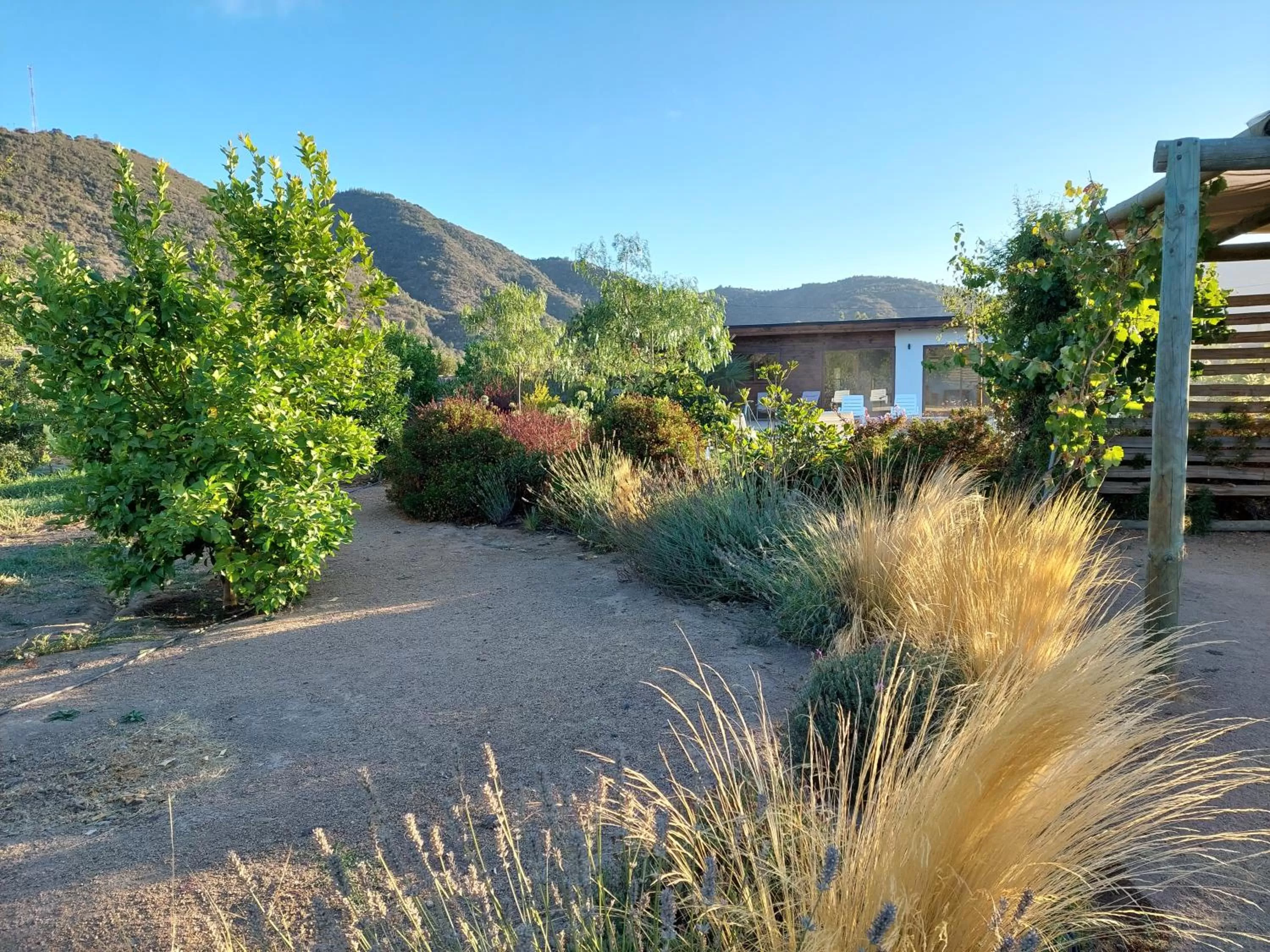 Property building in Callihue Lodge