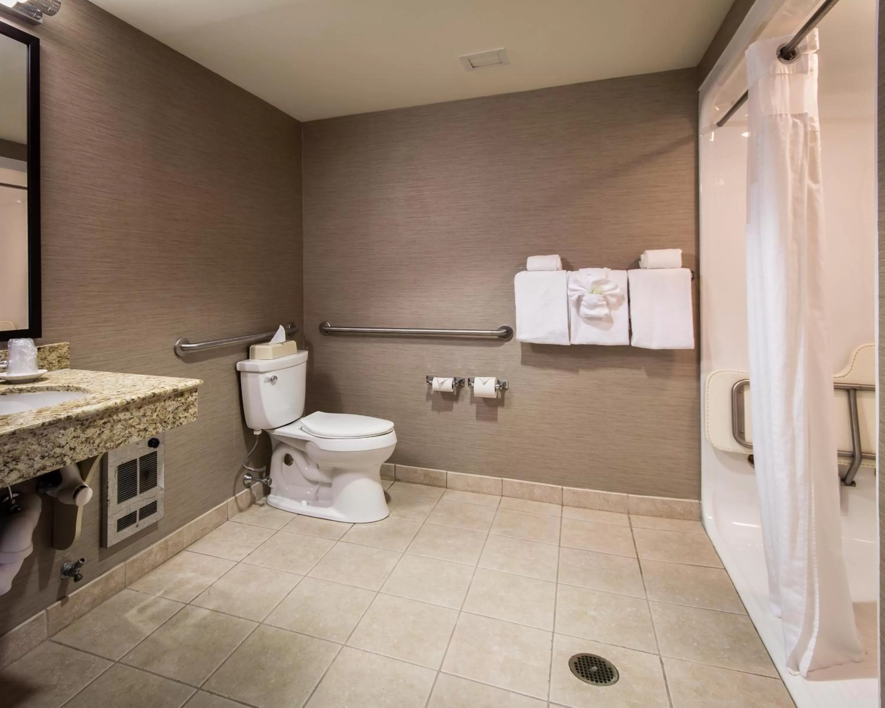 Bathroom in Holiday Inn Express Hotel & Suites Auburn by IHG