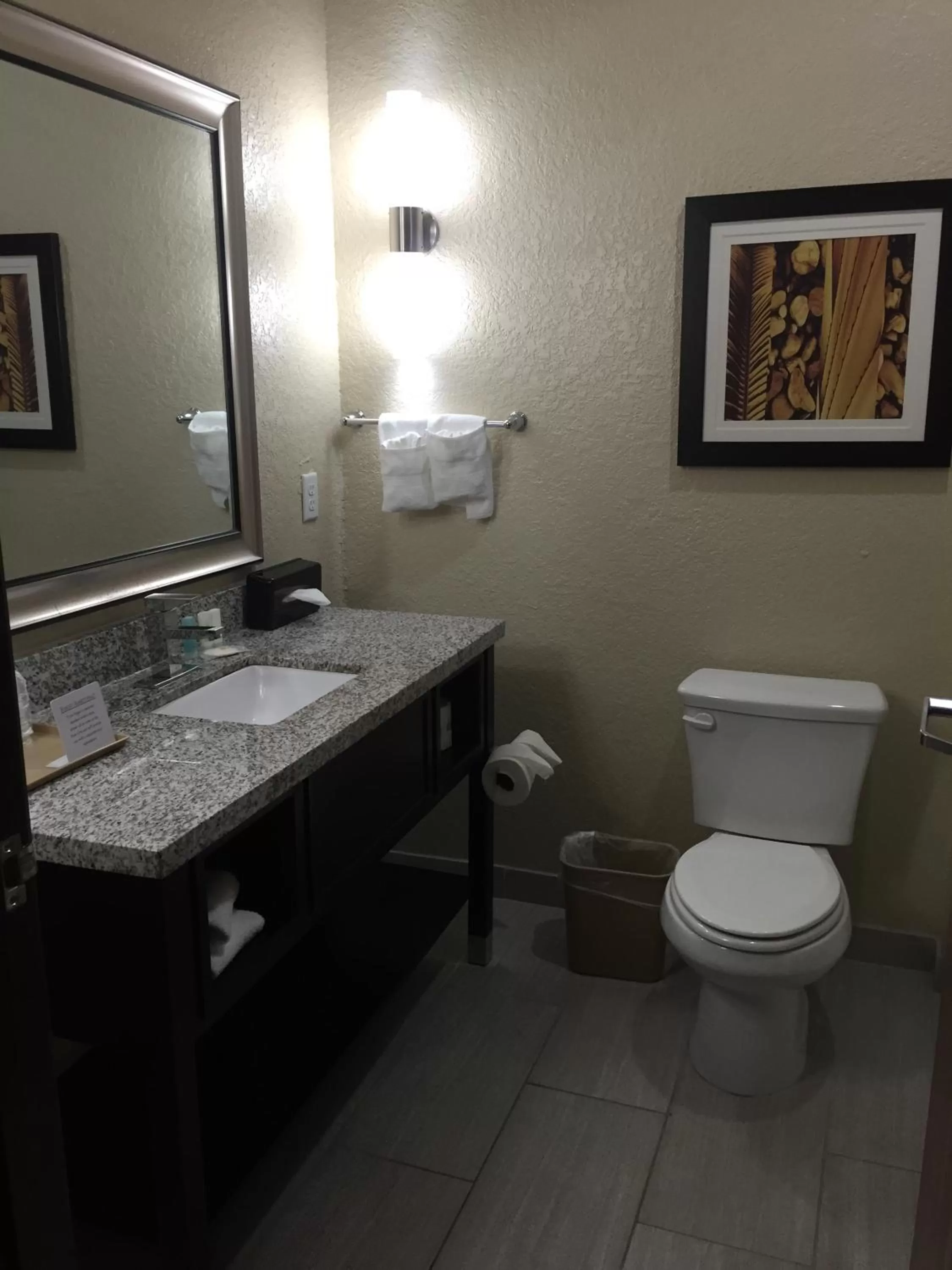 Bathroom in Comfort Inn & Suites Fort Worth West I-30 NAS JRB