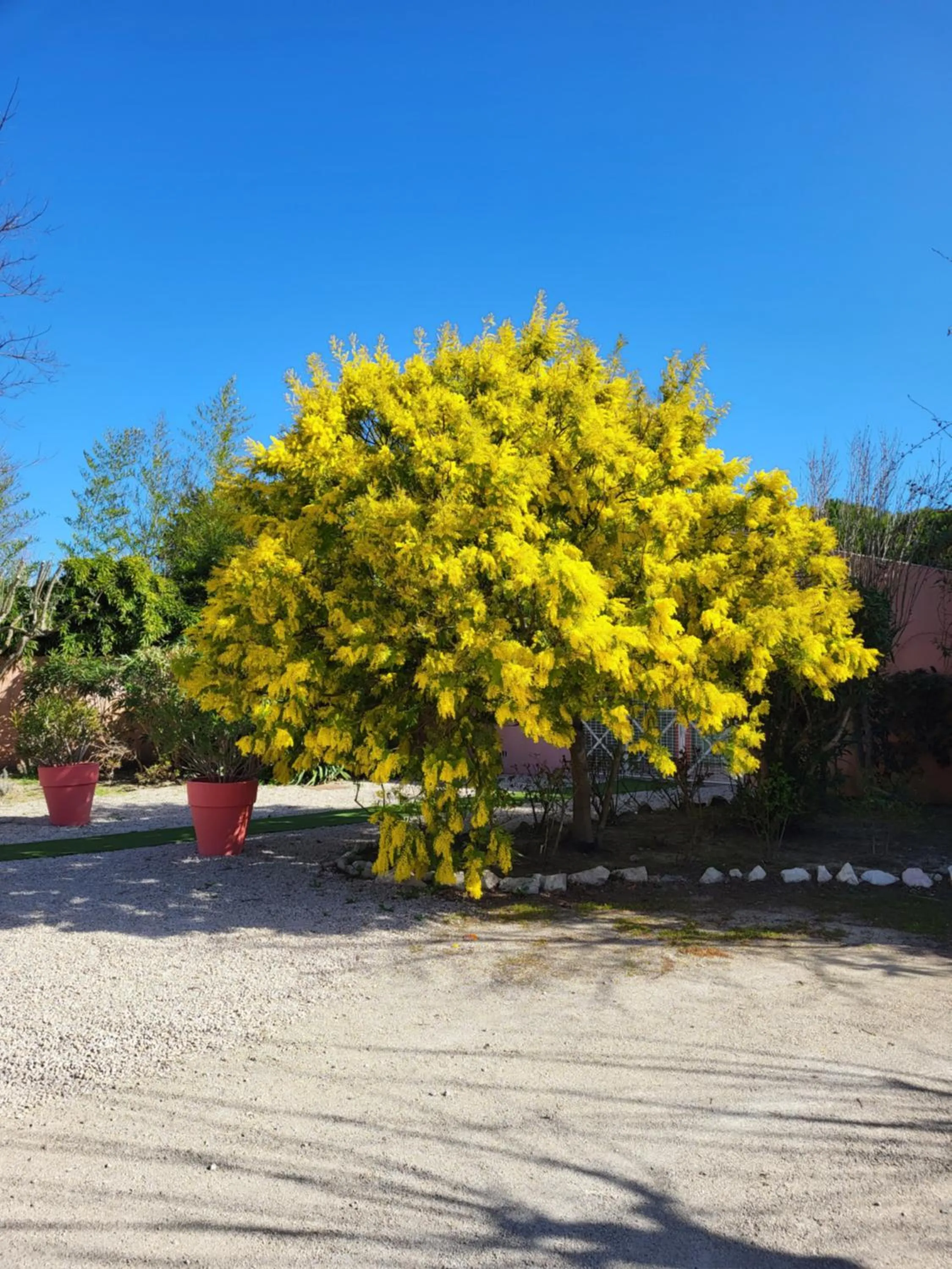 Garden in Logis Hotel la Ferme