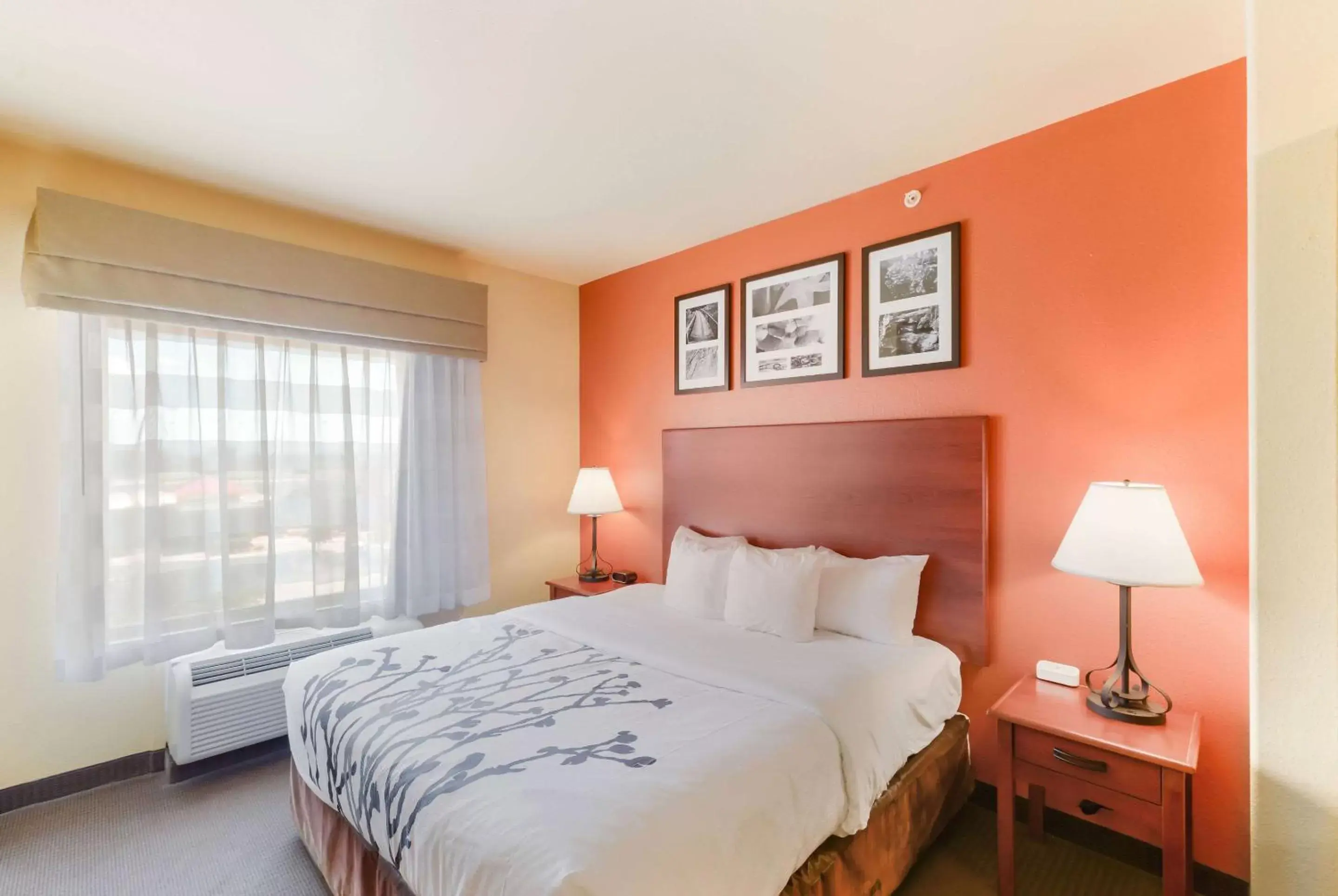 Queen Room - Accessible/Nonsmoking in Sleep Inn & Suites Midland West Queen Room - Accessible/Nonsmoking in Sleep Inn & Suites Midland West