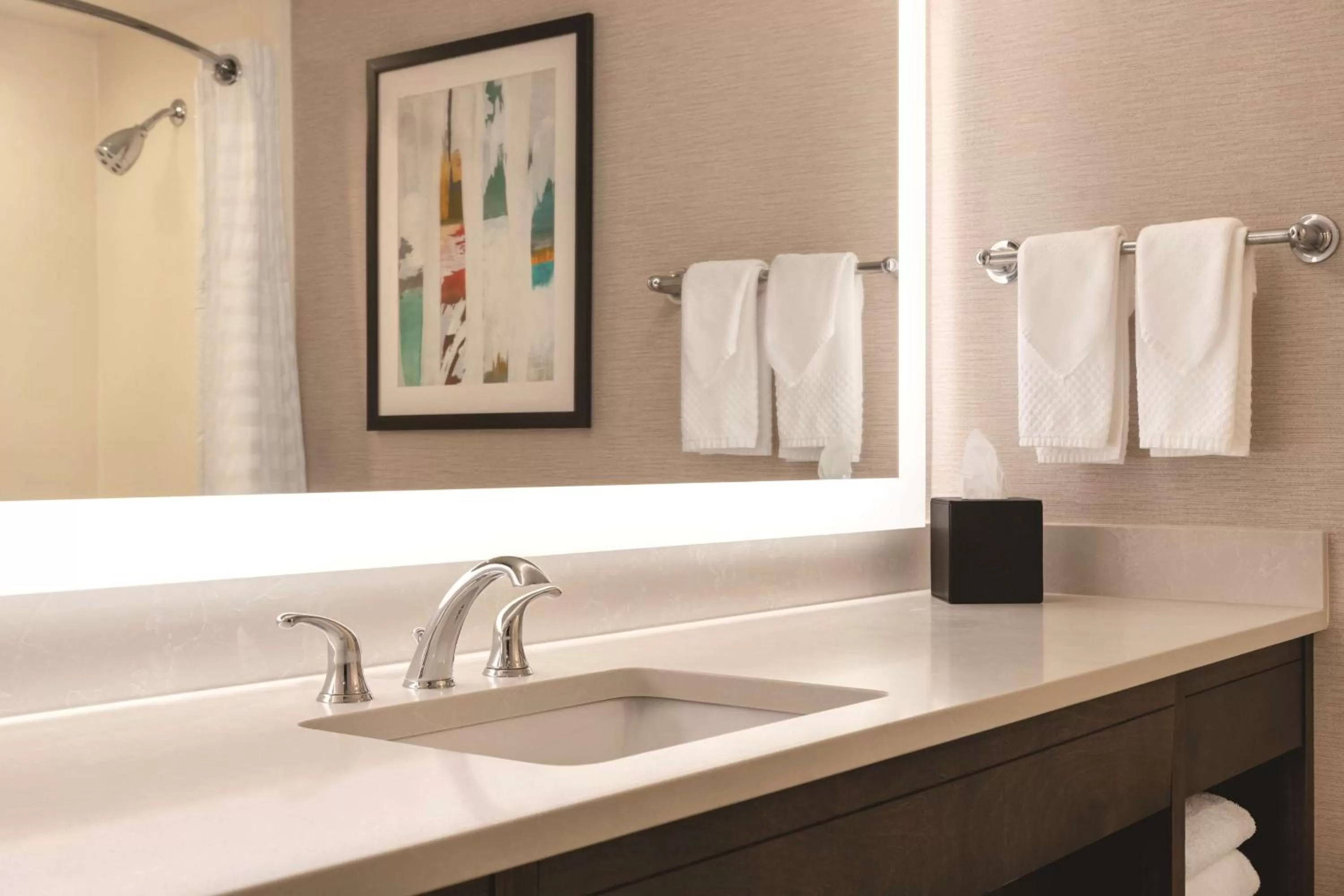 Bathroom in Embassy Suites by Hilton Baltimore at BWI Airport