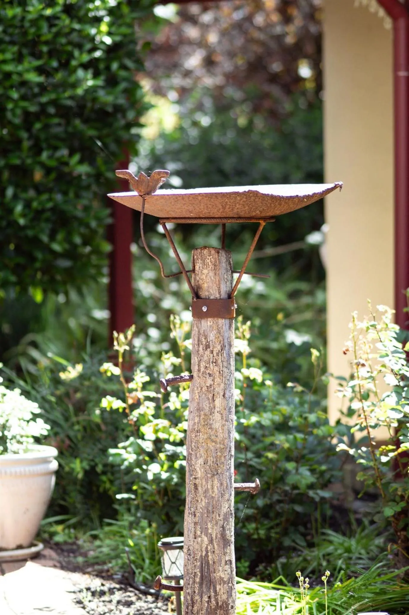 Garden in The Noble Grape Guesthouse