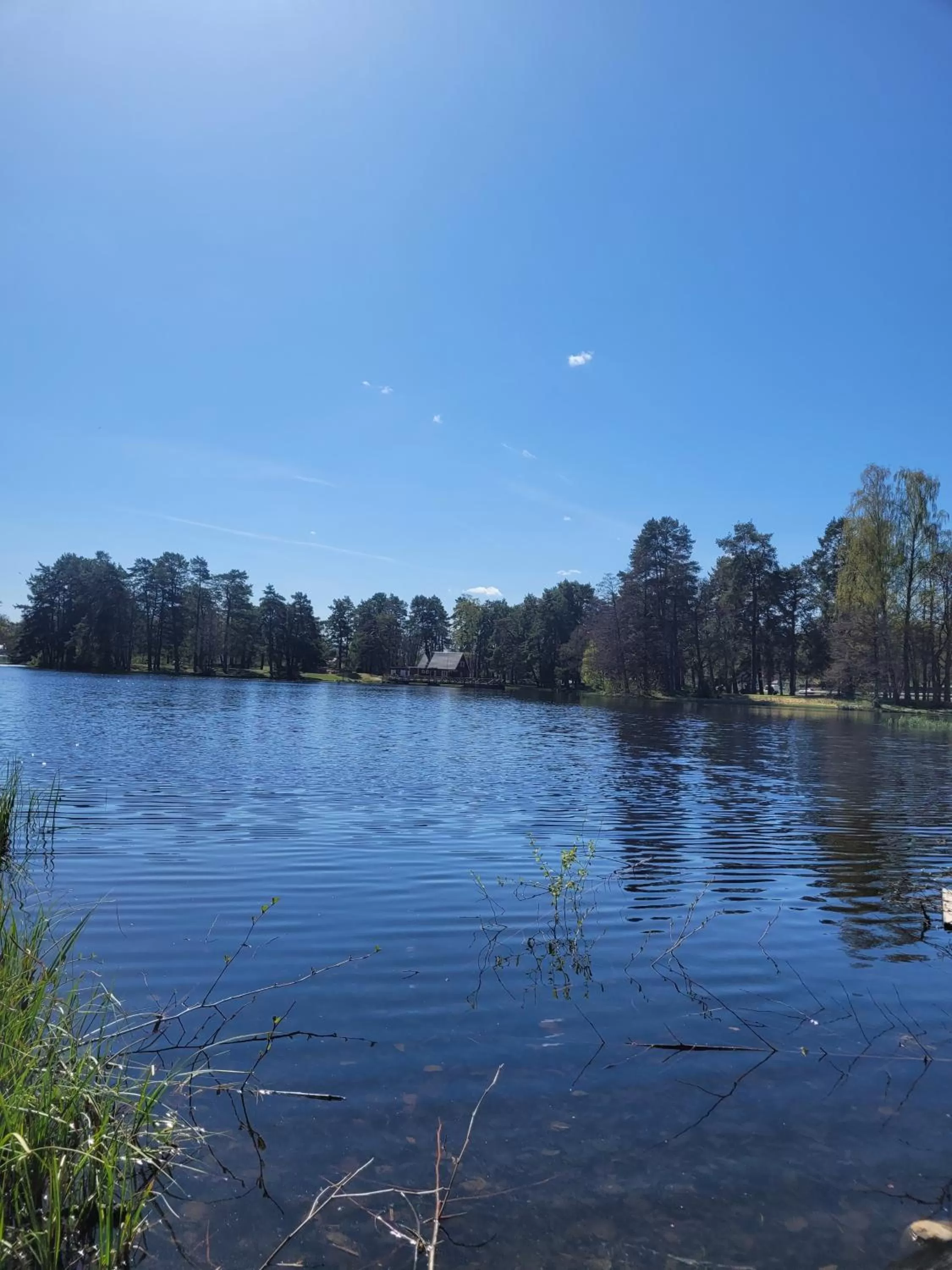Natural landscape in KvarnDammens Bed & Breakfast