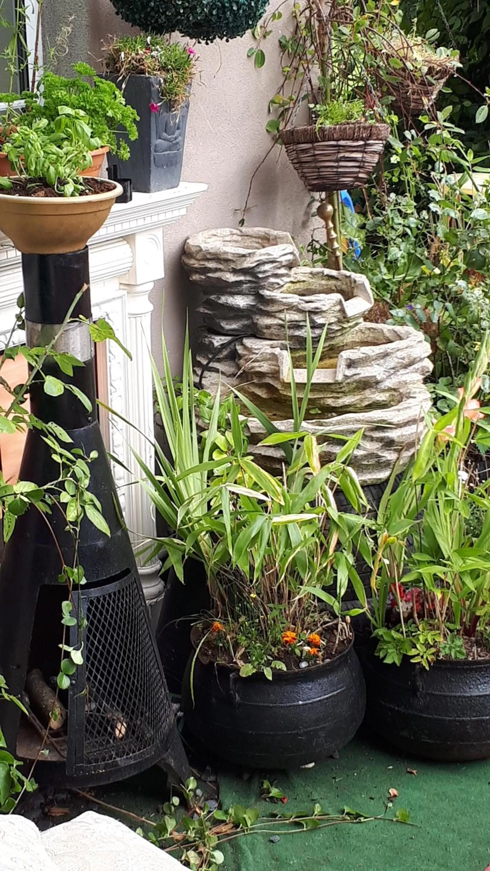 Patio in Annaswood B&B