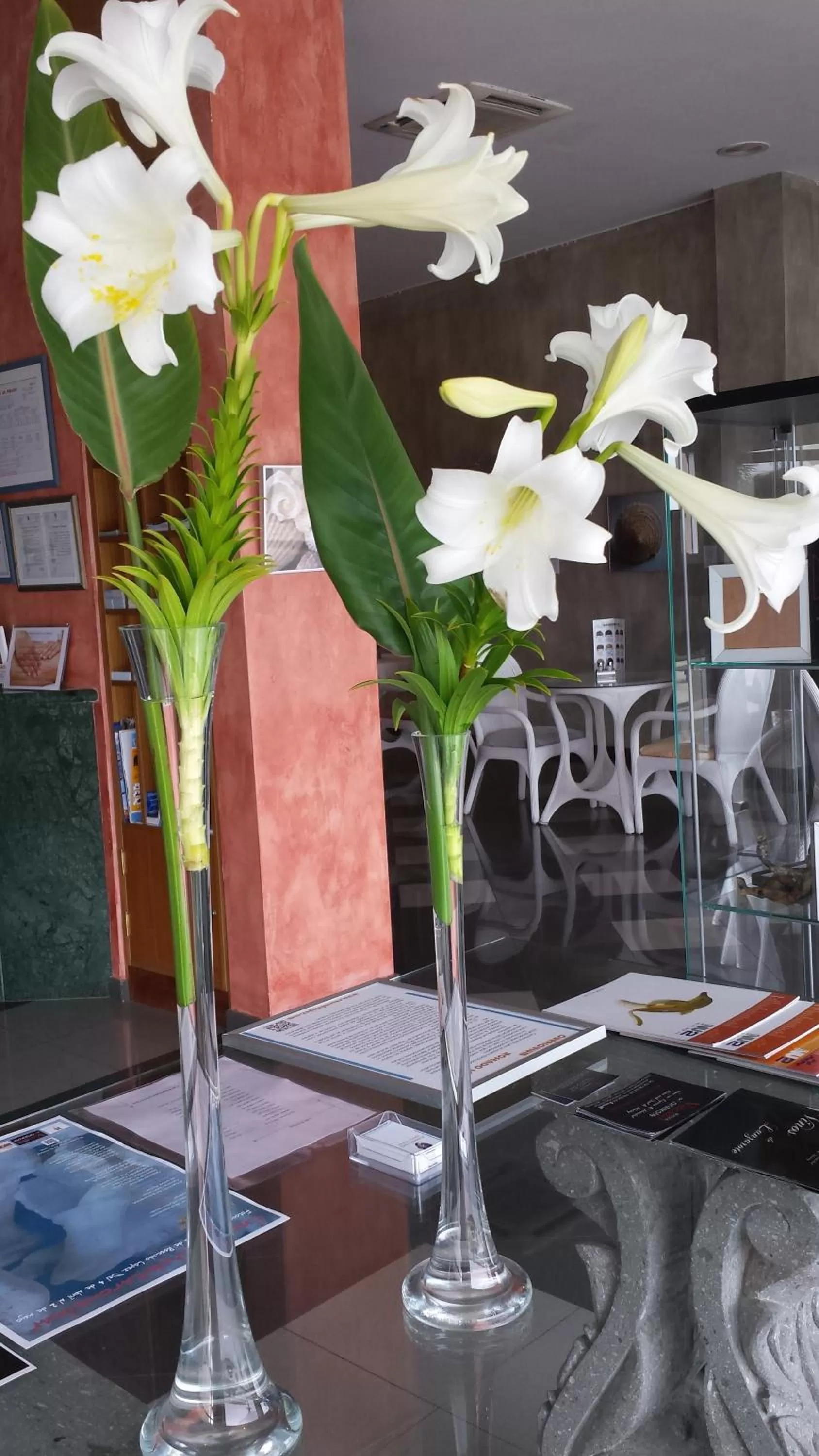 Other in Hotel Miramar