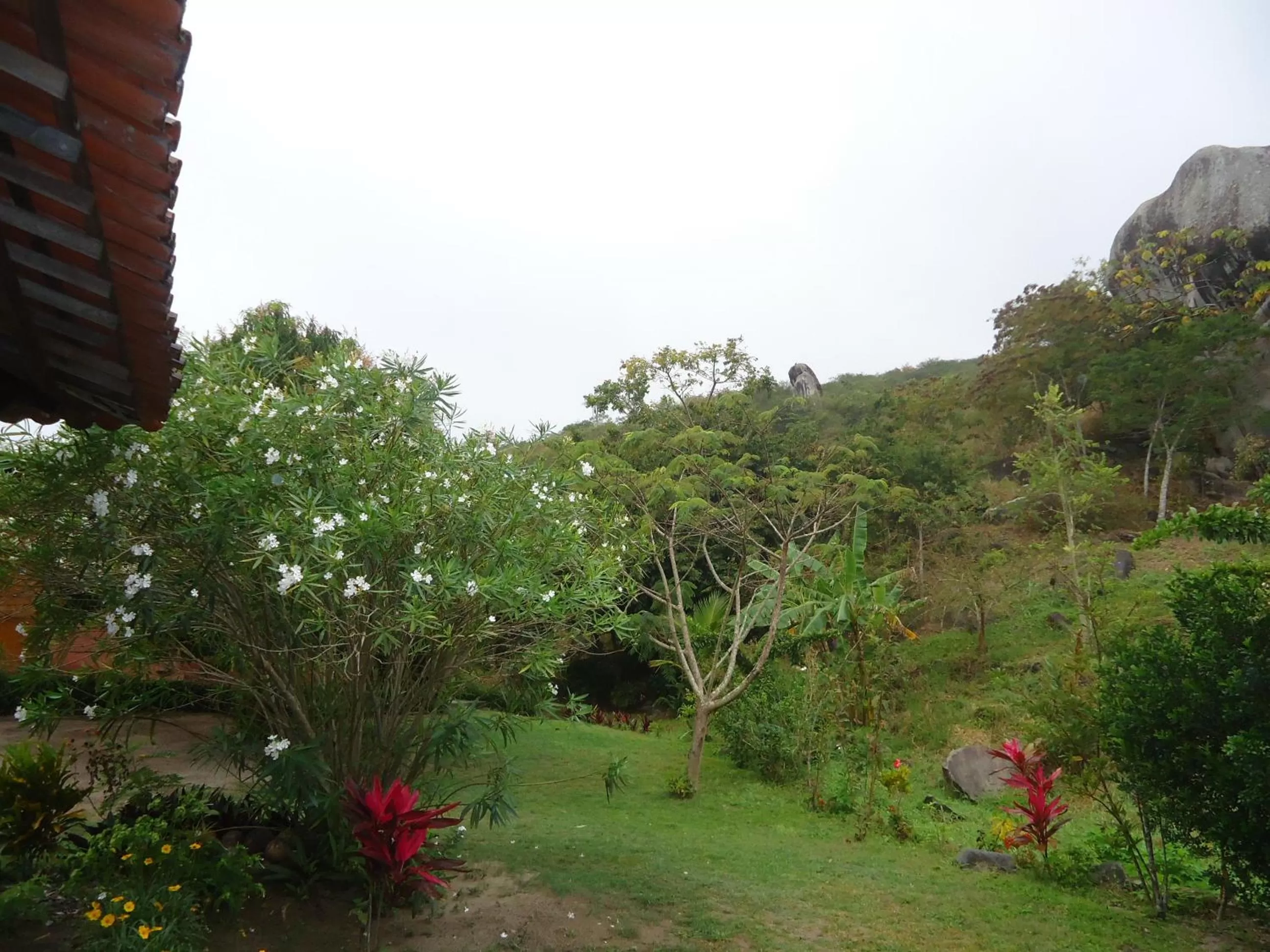 Natural landscape in Pousada Aba da Serra