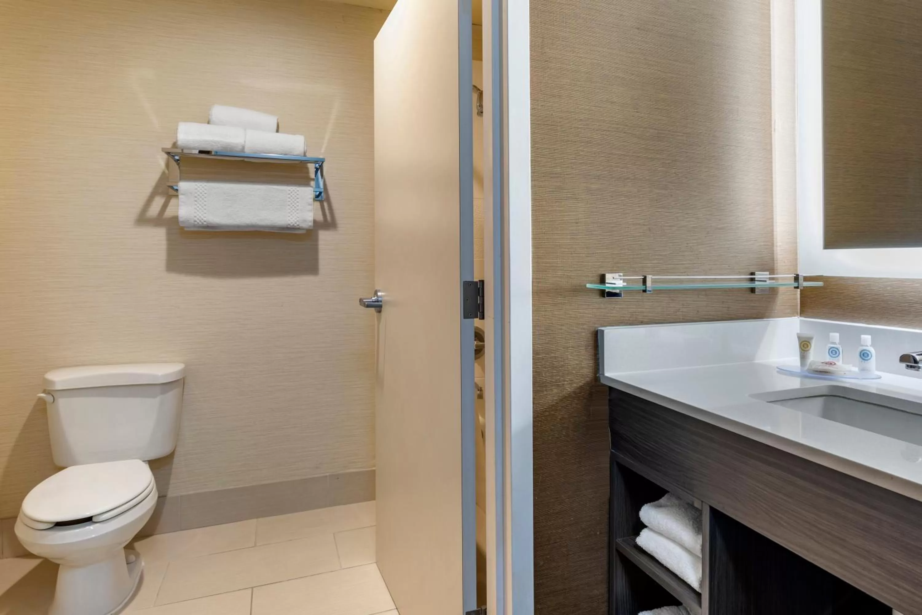 Toilet in Comfort Inn & Suites North Dallas-Addison