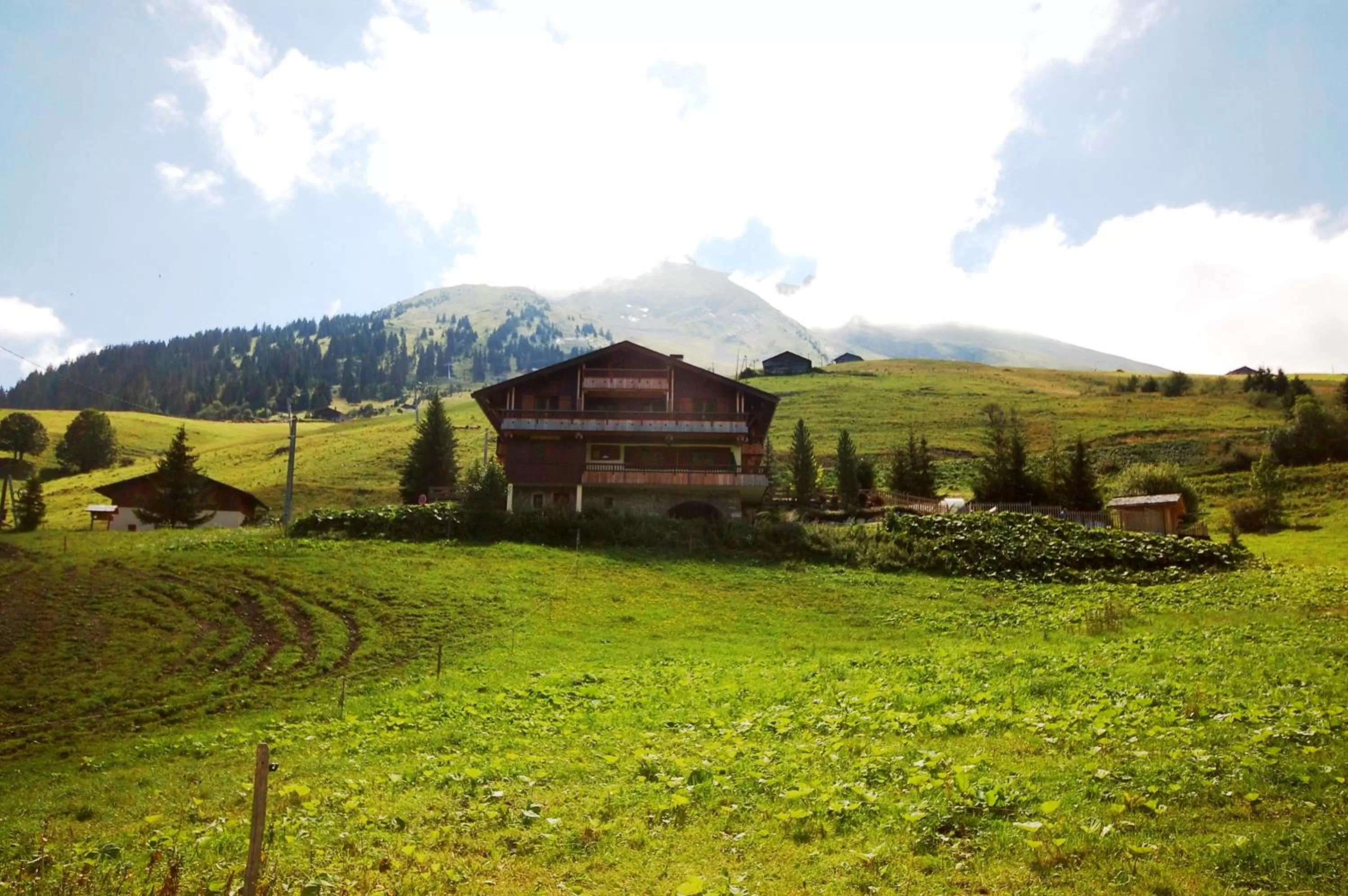 Hôtel Chalet Alpage