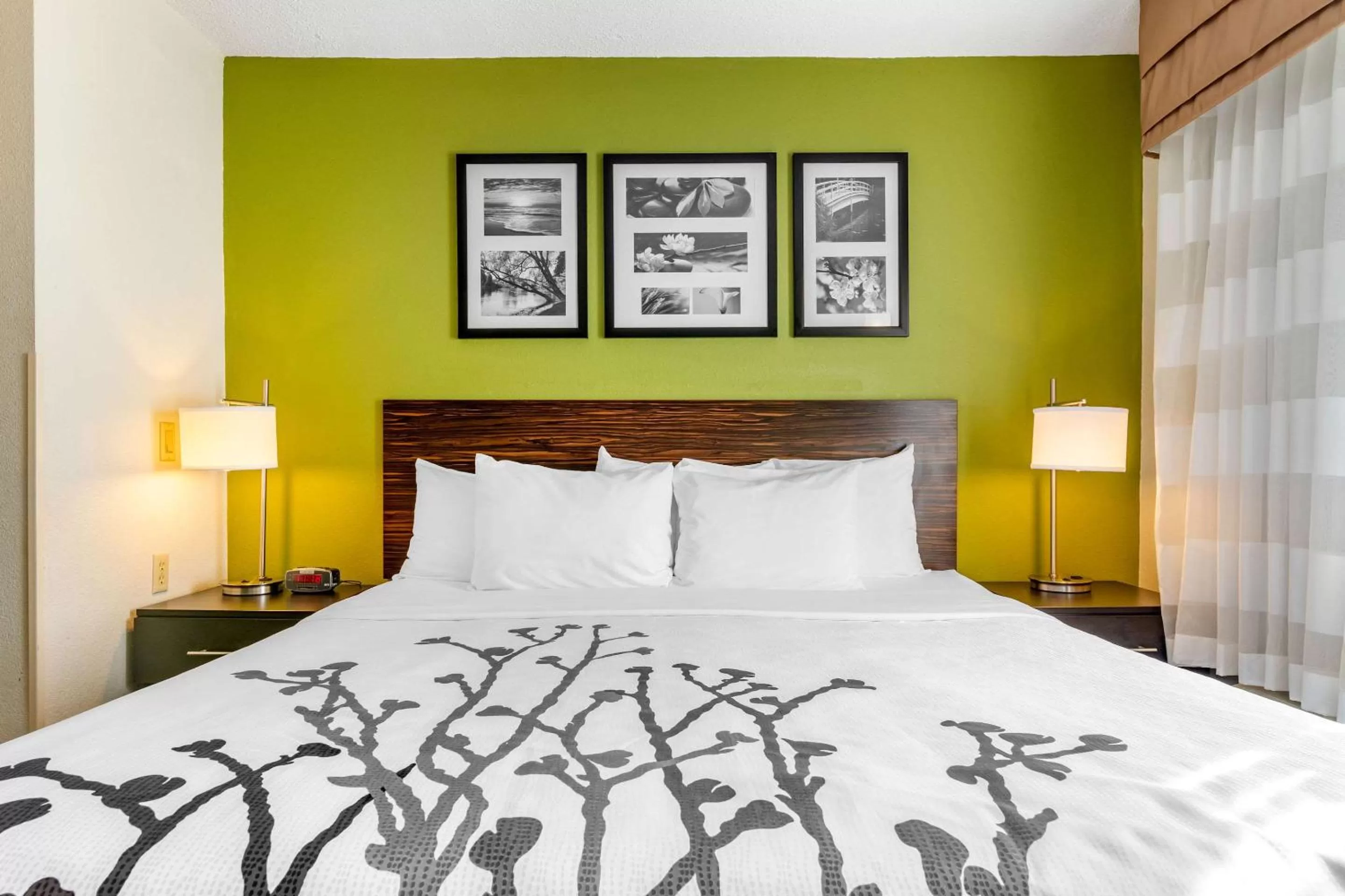 Photo of the whole room, Bed in Sleep Inn I-95 North Savannah