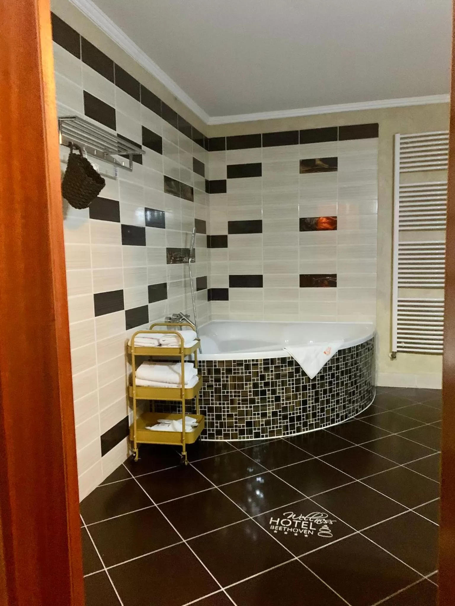 Shower in Wellness Hotel Beethoven