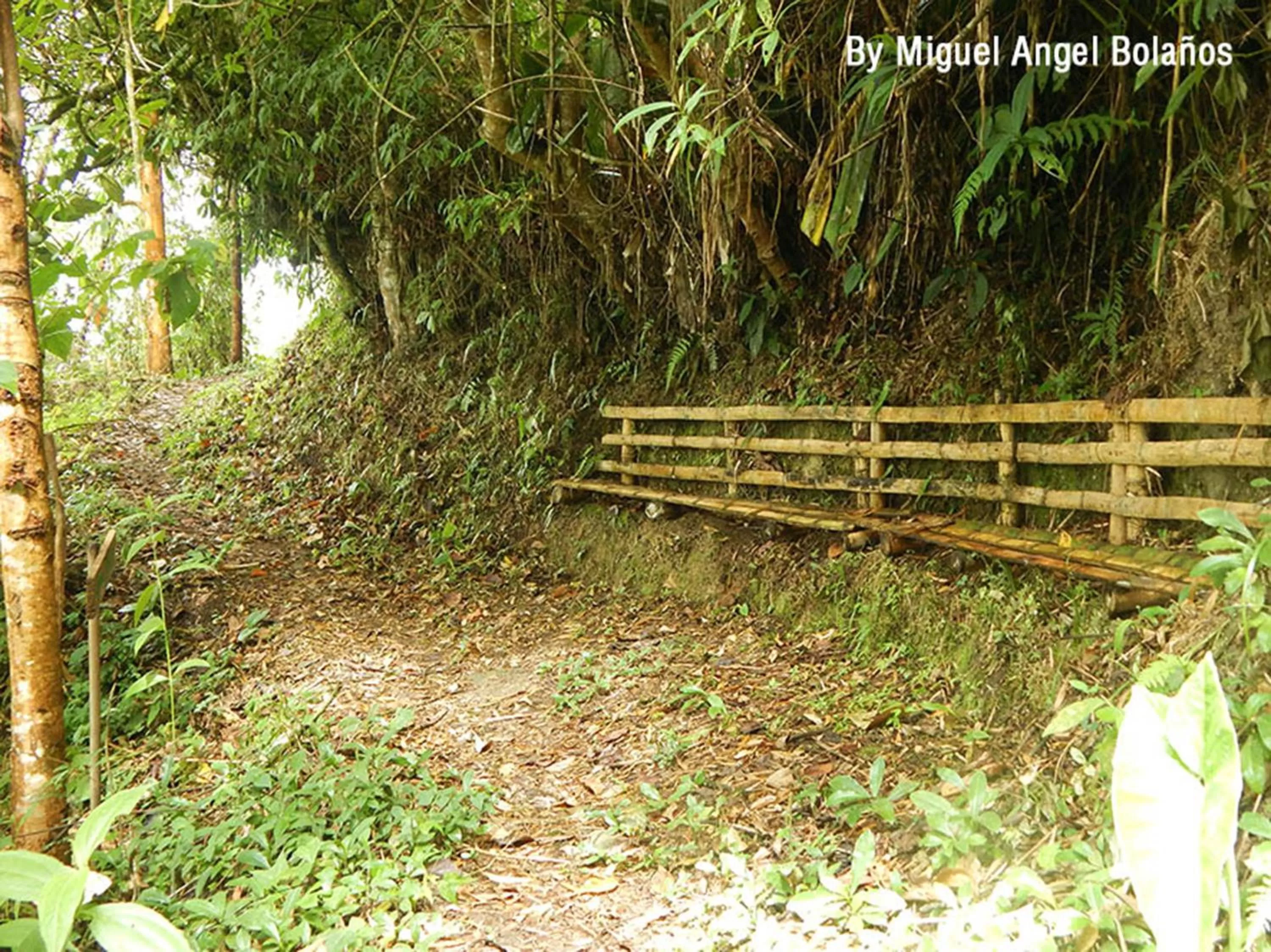 Natural landscape, Garden in Eco Lodge La Juanita