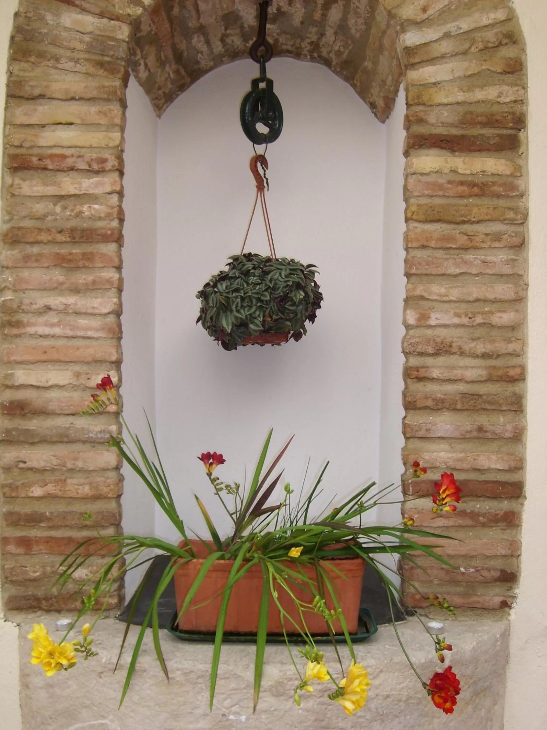 Restaurant/places to eat in Hotel Plateros