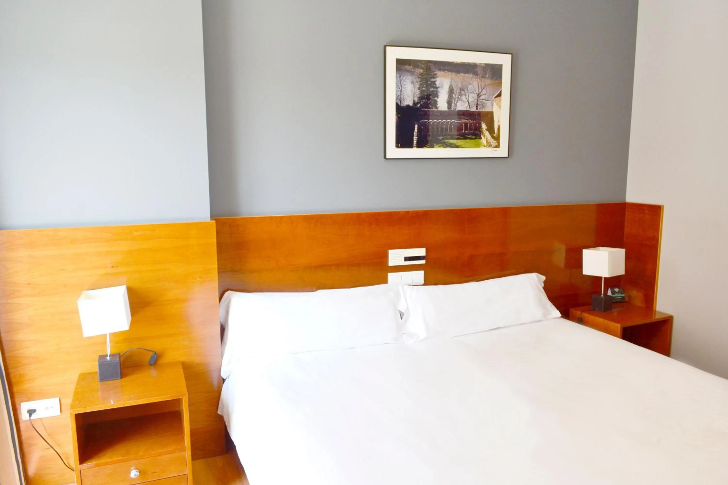 Photo of the whole room, Bed in Hotel Alda Ciudad de Soria