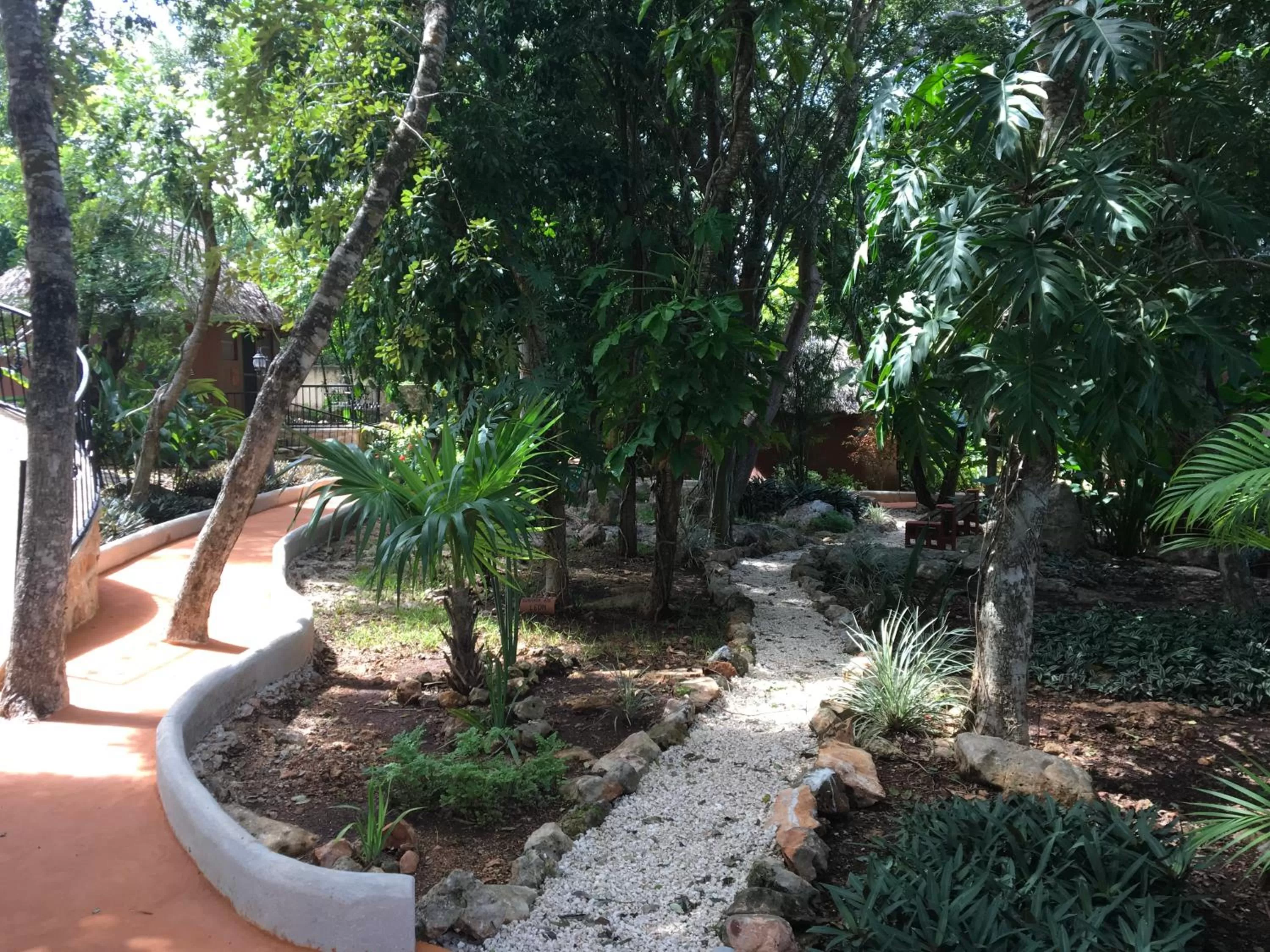 Garden in The Pickled Onion Eco-Boutique B&B