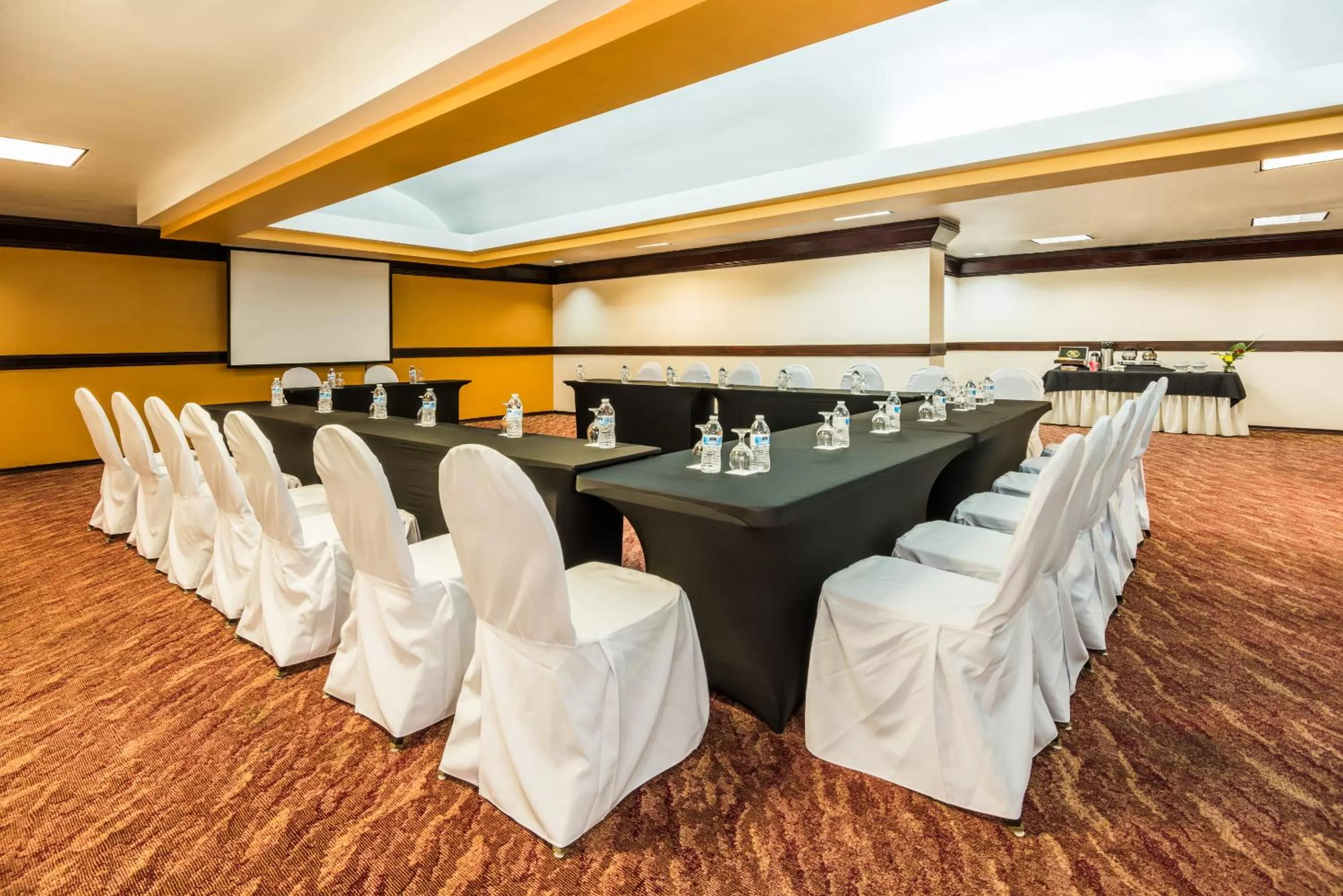 Meeting/conference room in Hospedium Princess Hotel Panamá