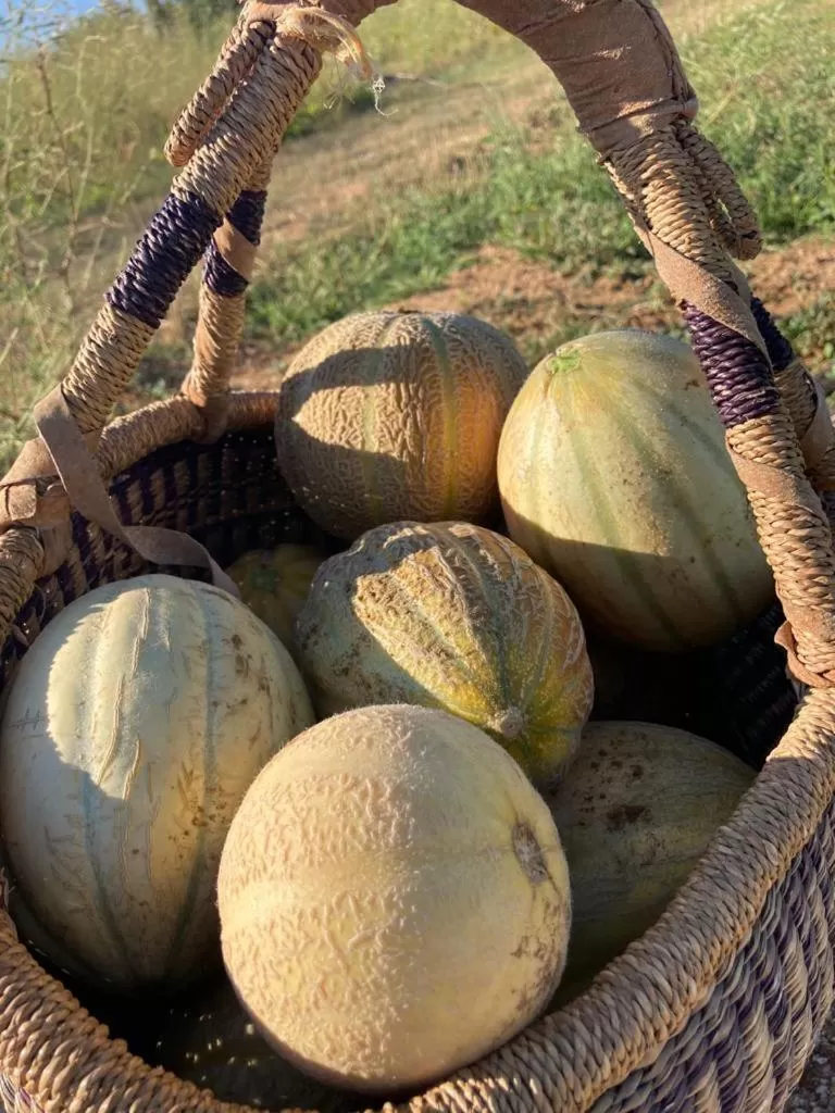Food in Bed&Breakfast Vanni
