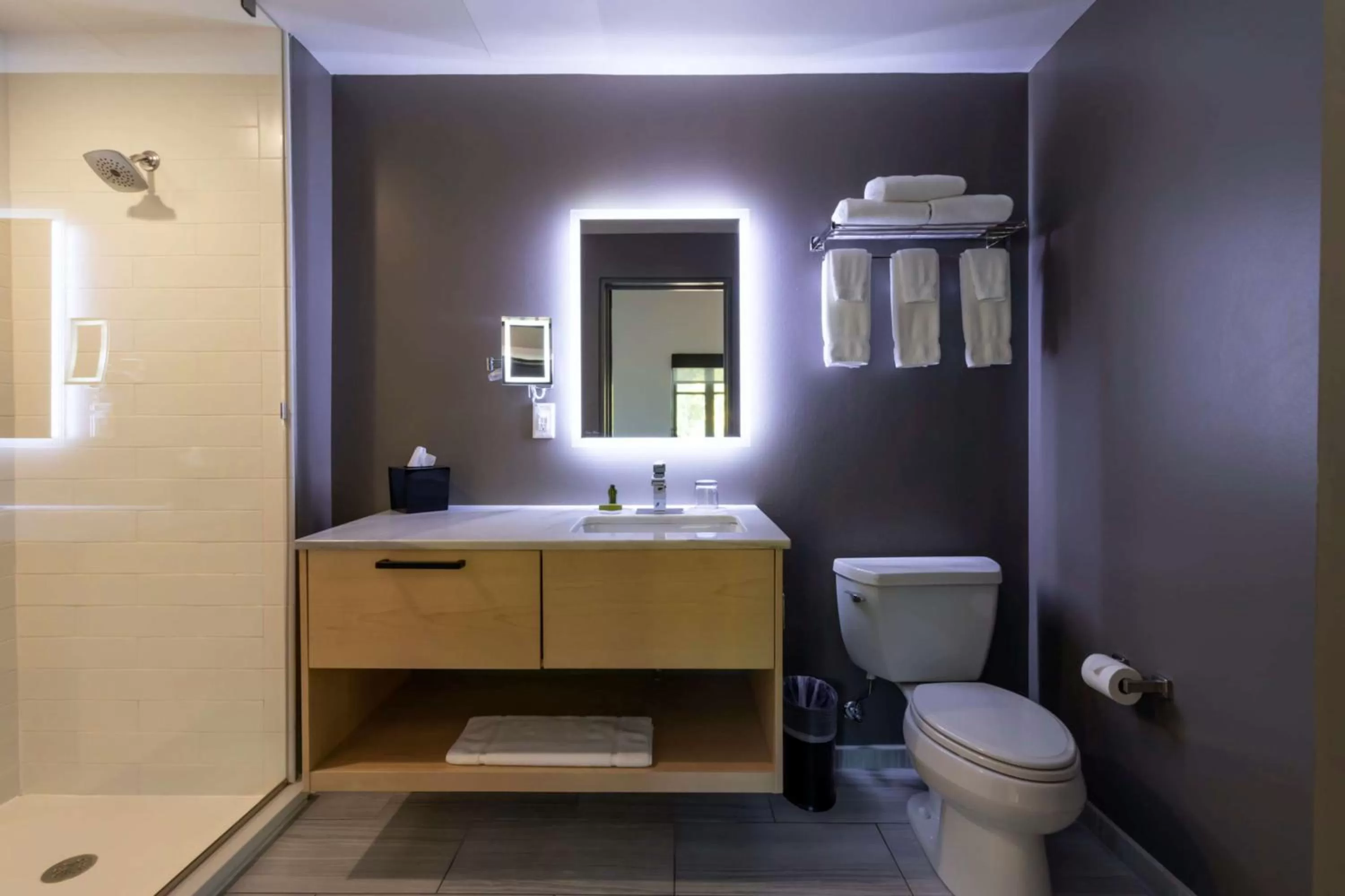 Bathroom in The Waters Hot Springs, Tapestry Collection by Hilton