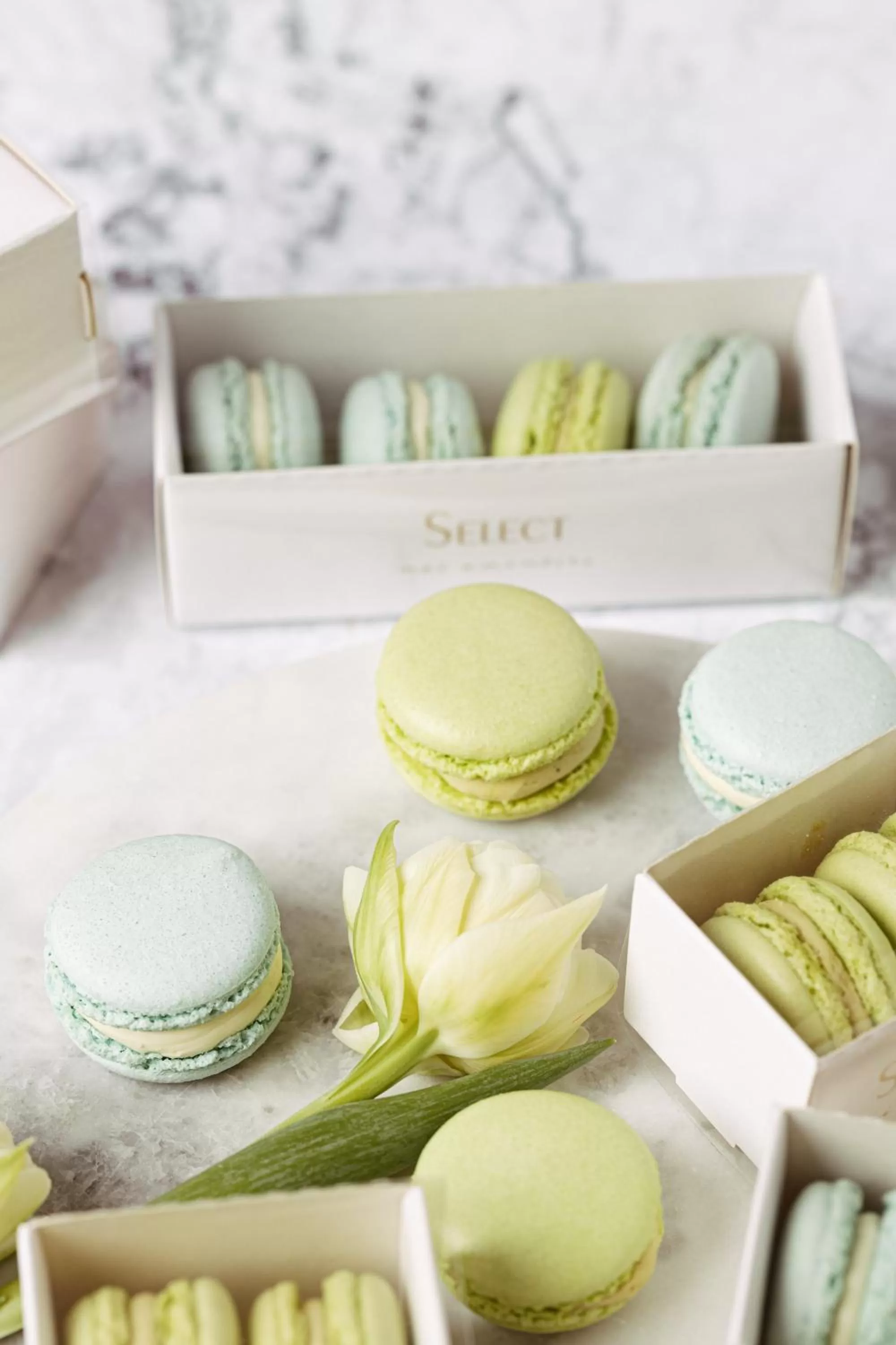 Food in Hotel Select