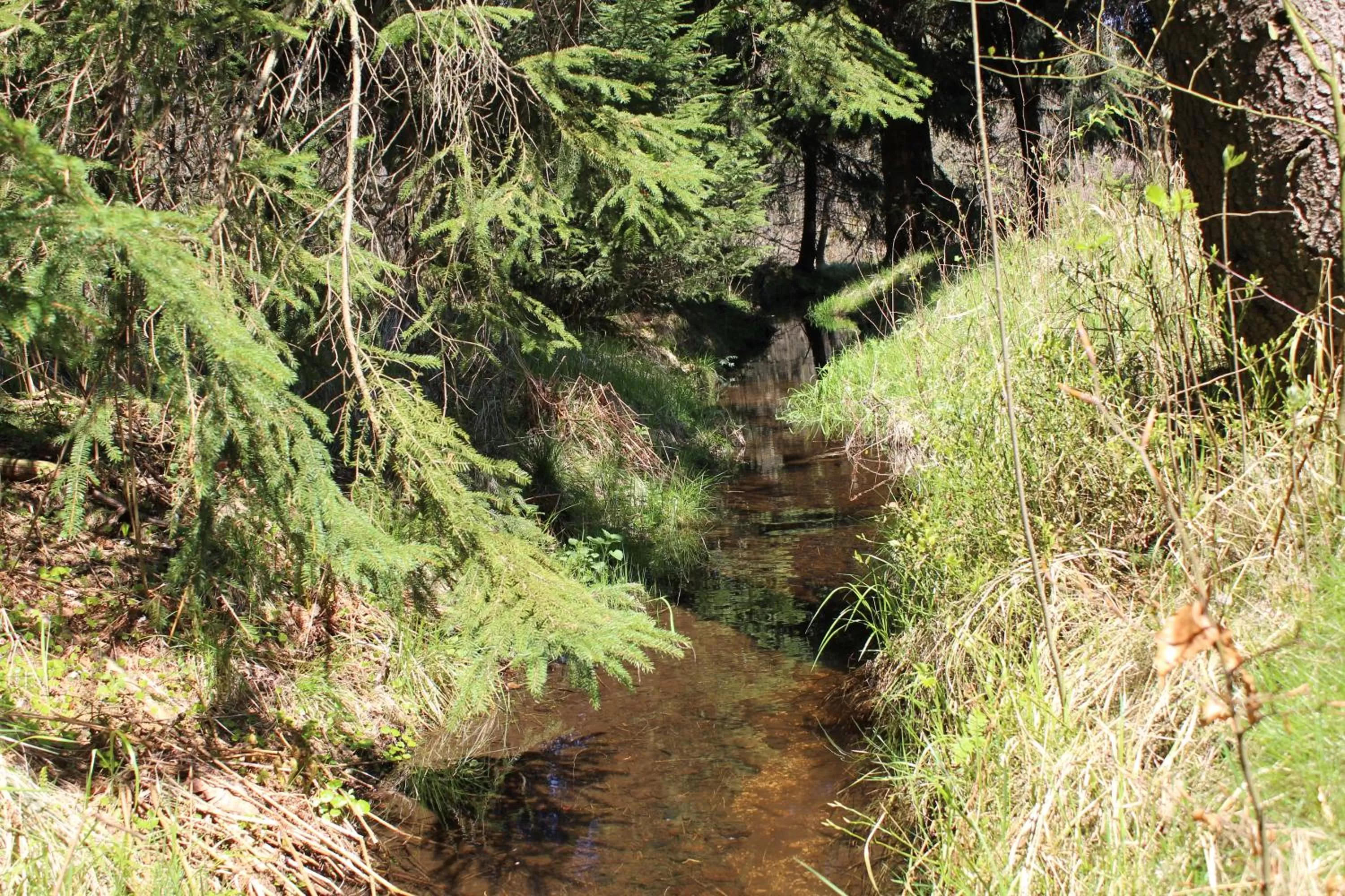 Natural Landscape in Waldgasthof Bad Einsiedel