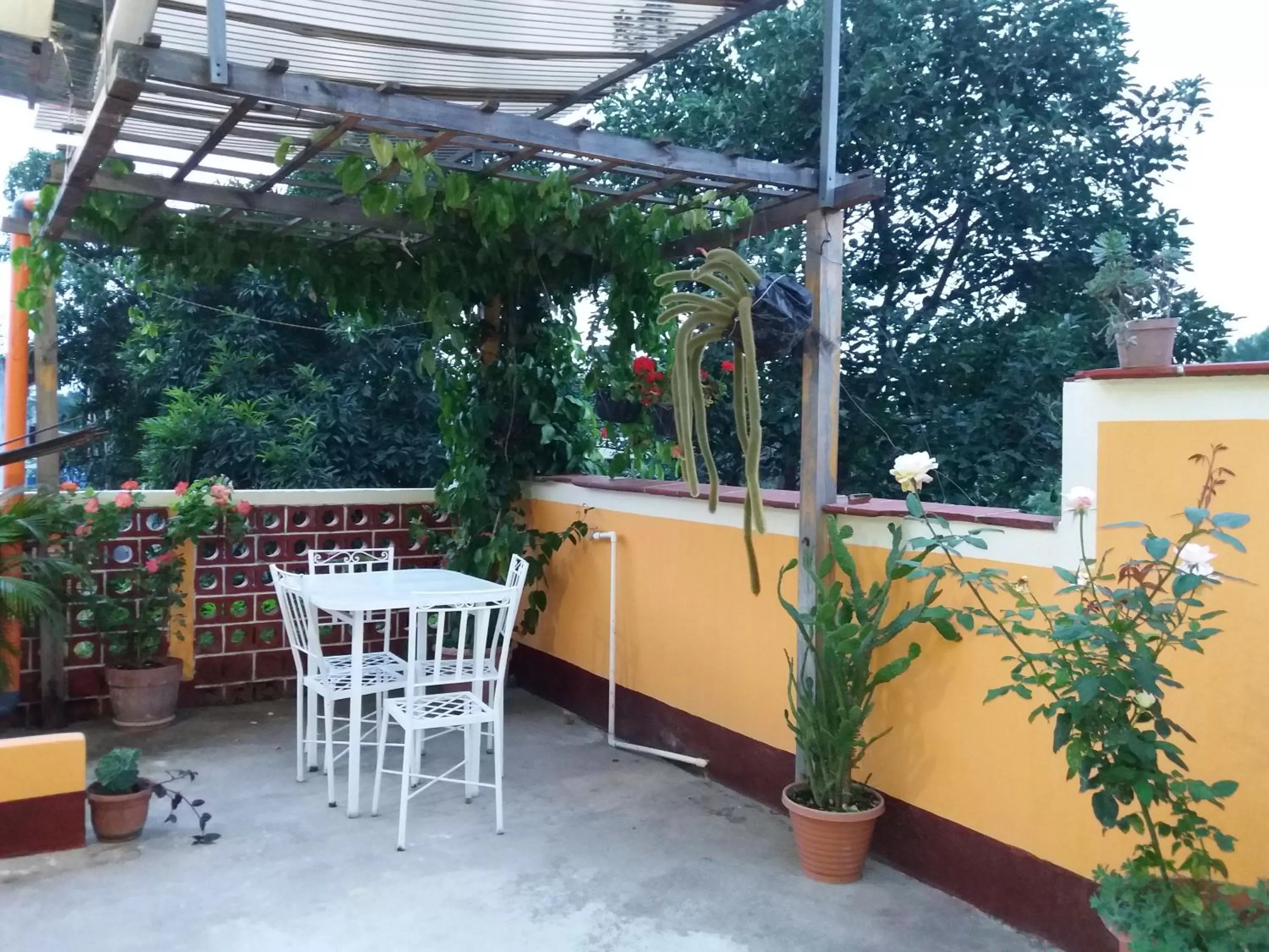 Balcony/Terrace in Hospedaje El Viajero