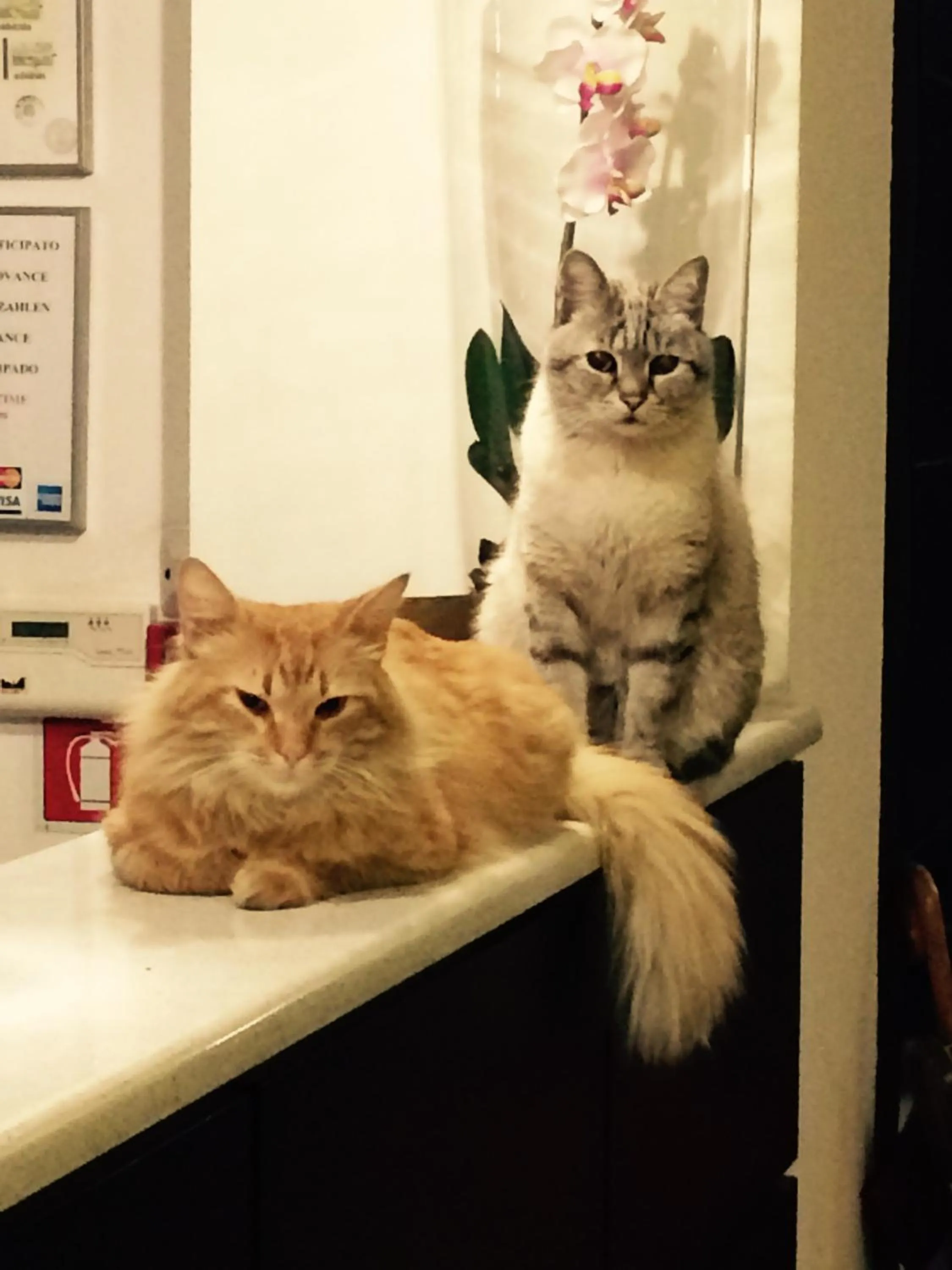 Decorative detail in Hotel Paradiso