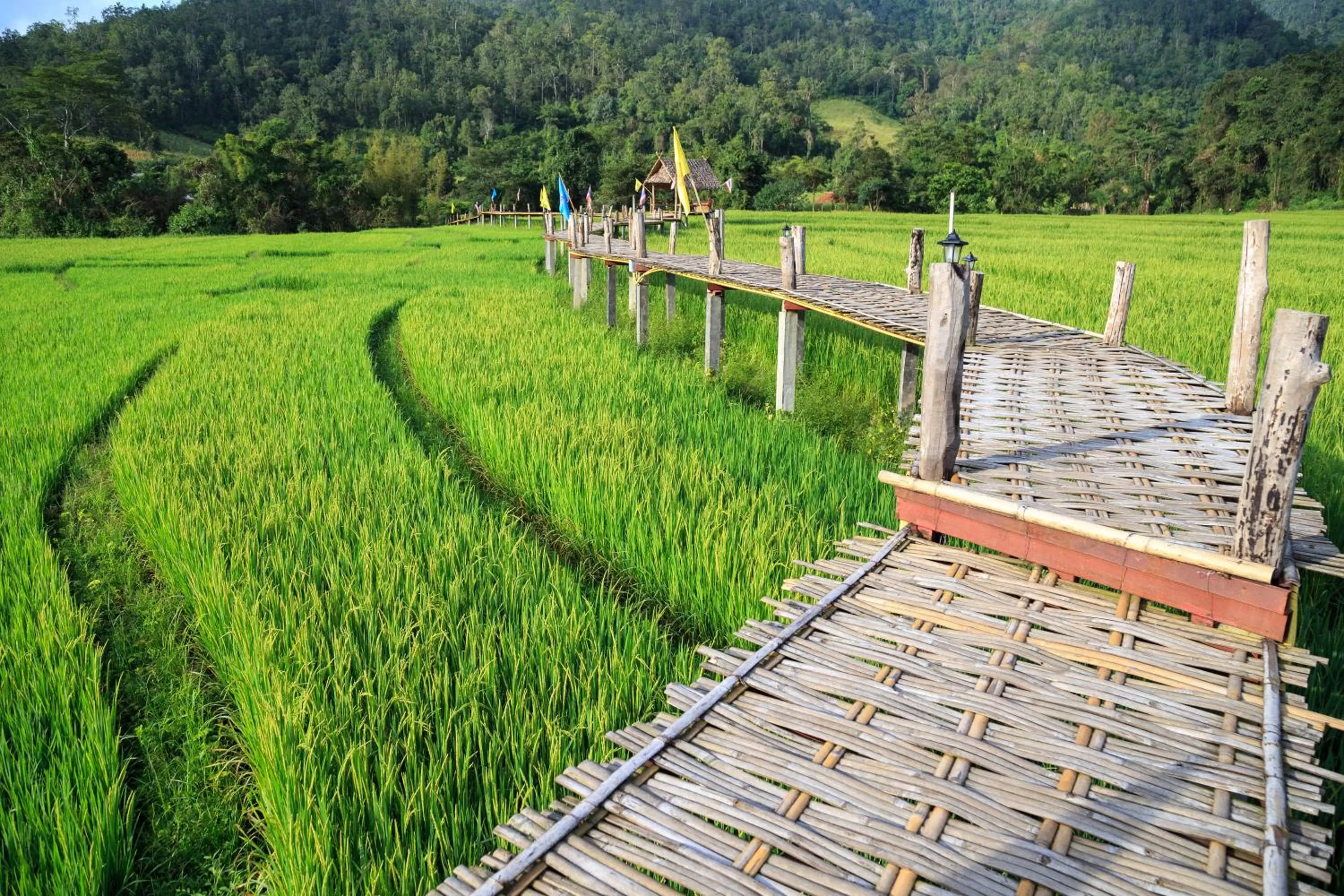 Nearby landmark in Pura Vida Pai Resort