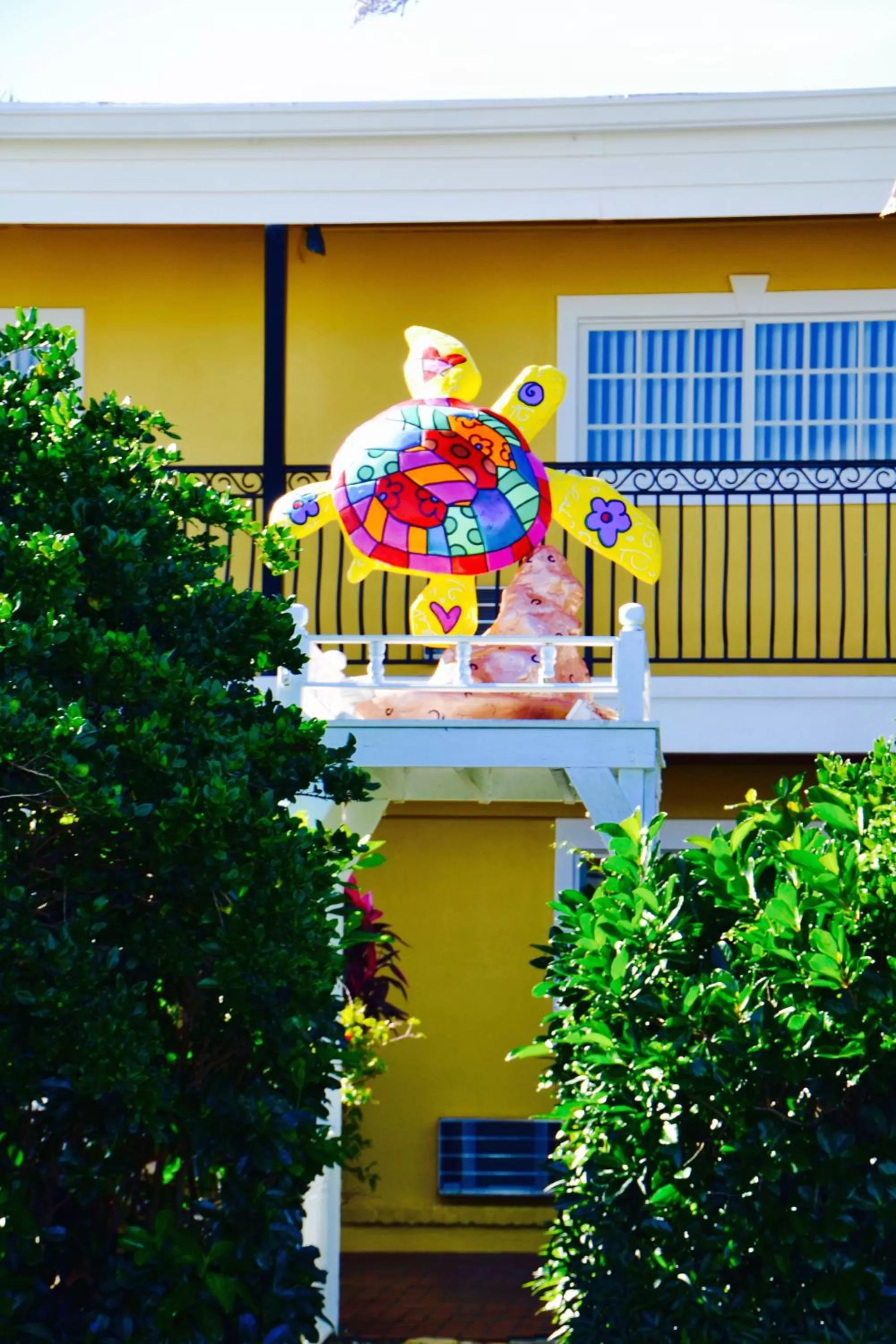 Garden in Sea Turtle Inn