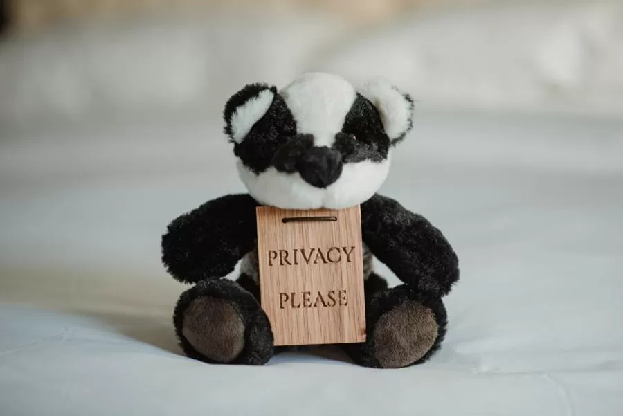 Decorative detail in The Bonnie Badger