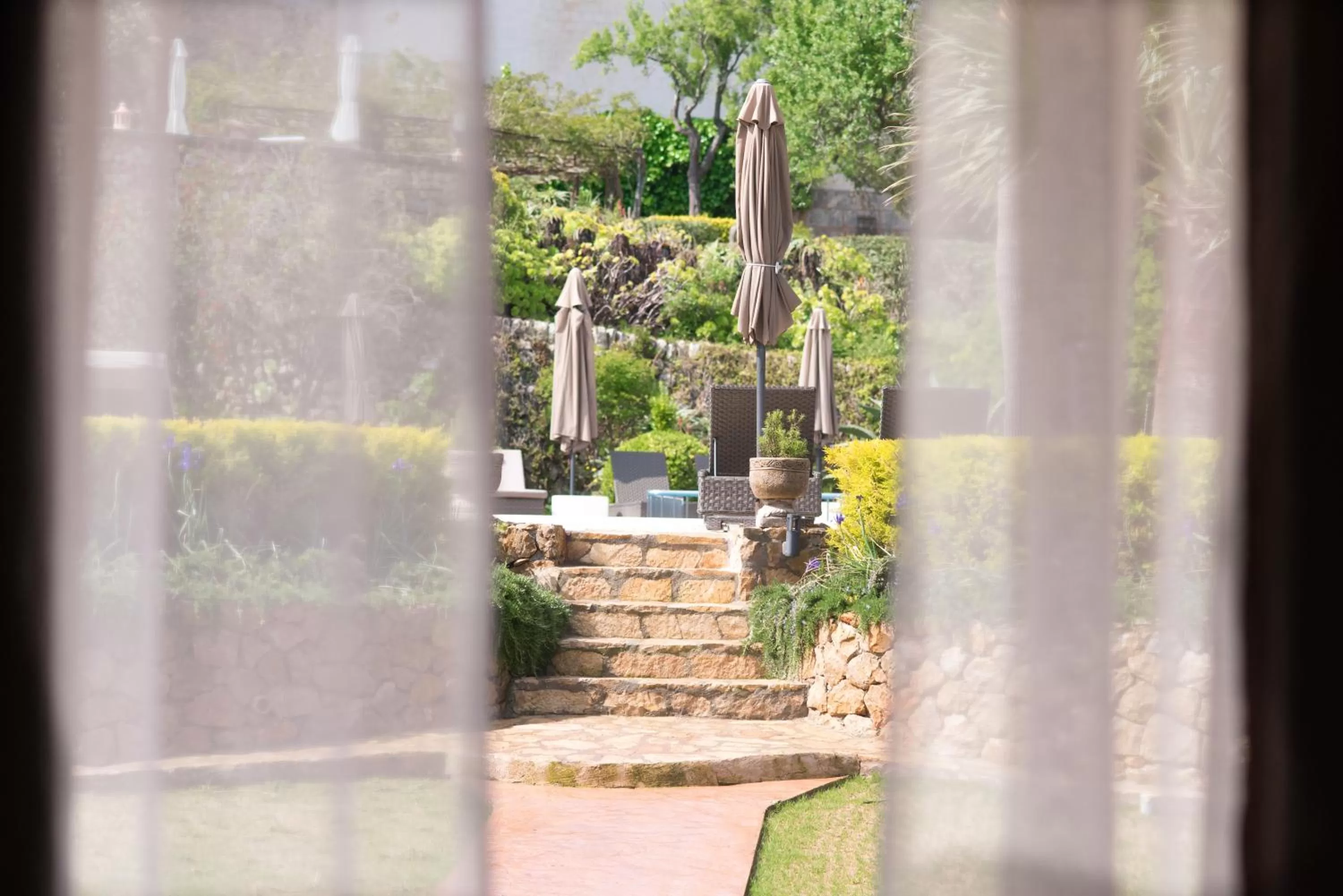 Garden view in Casa Font i Roig