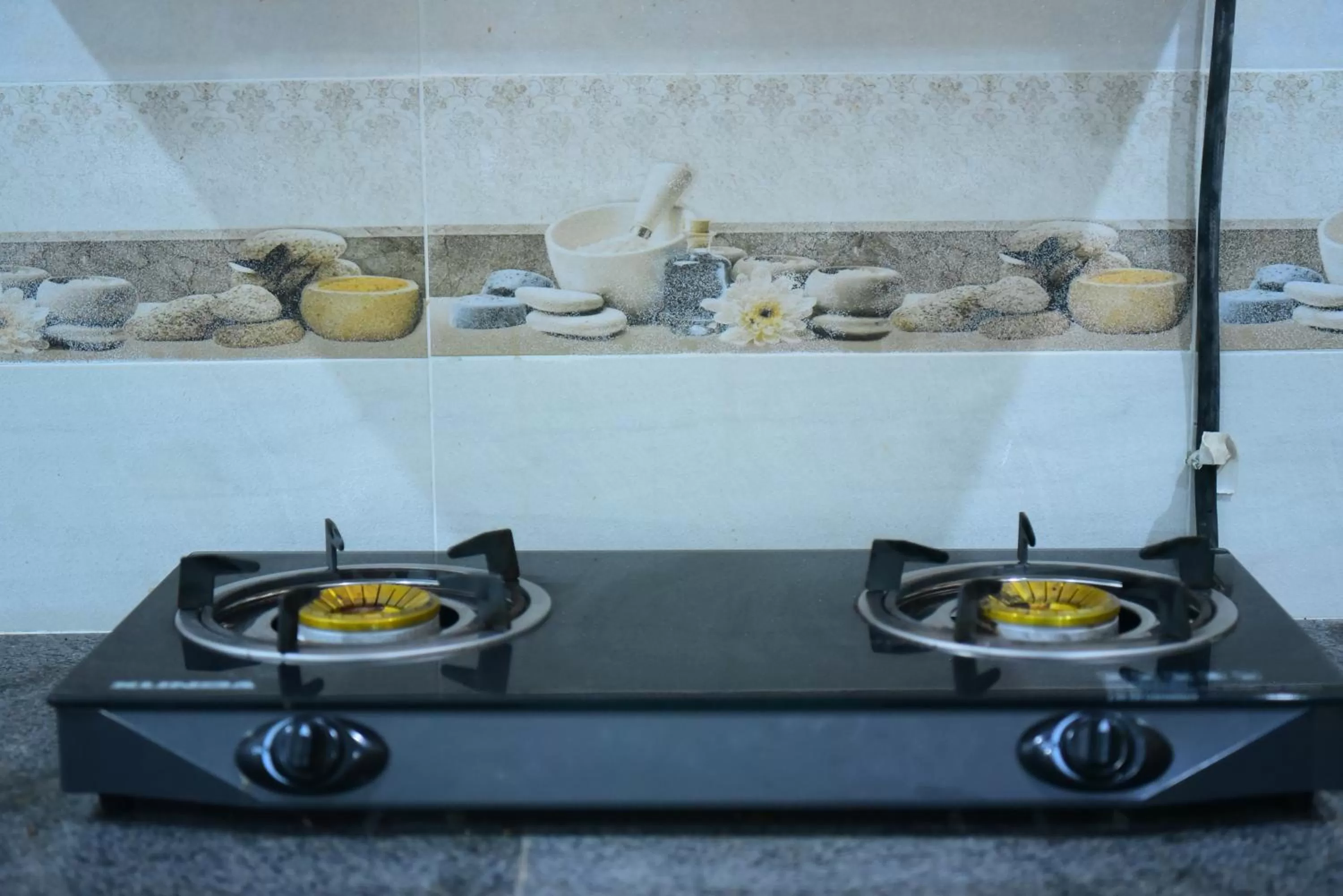 stove, Kitchen/Kitchenette in Srinagar Homes