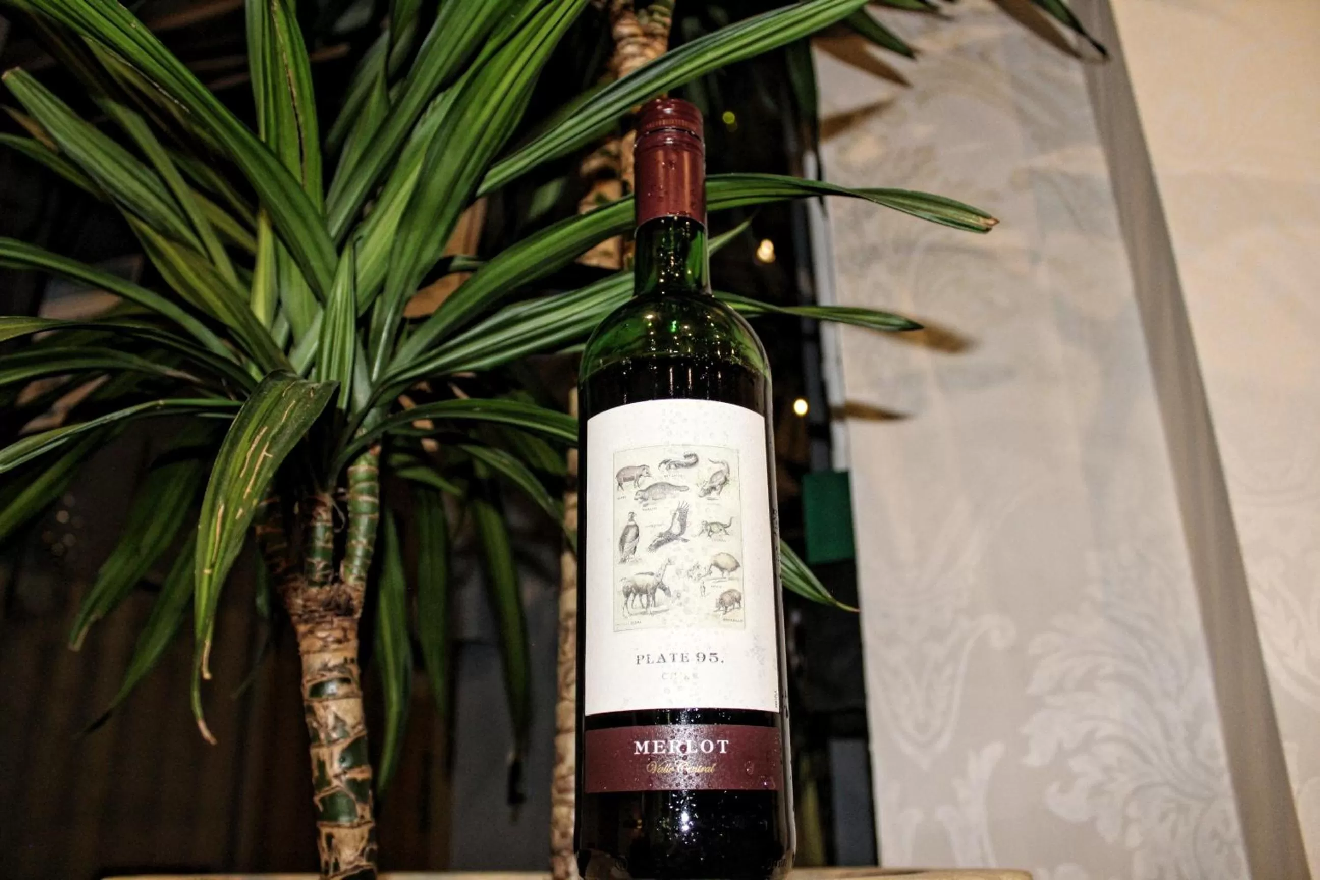 Drinks in Lancaster Hotel