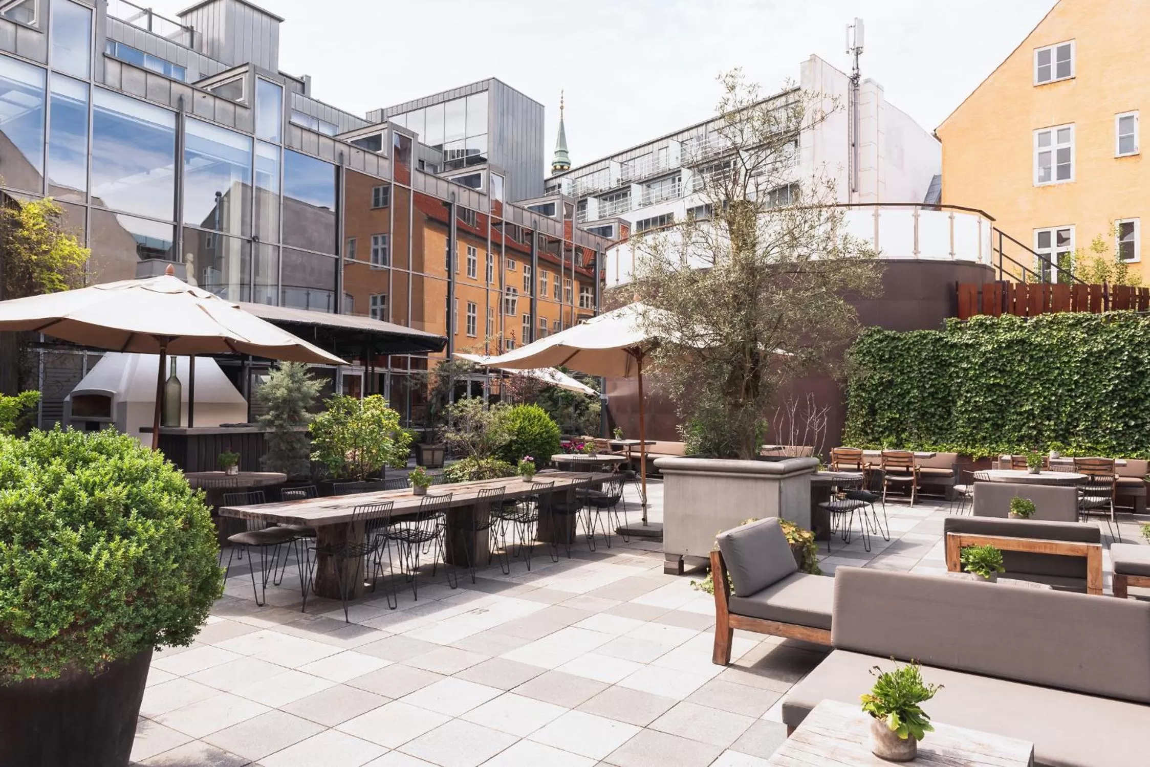 Garden in Hotel Skt Petri