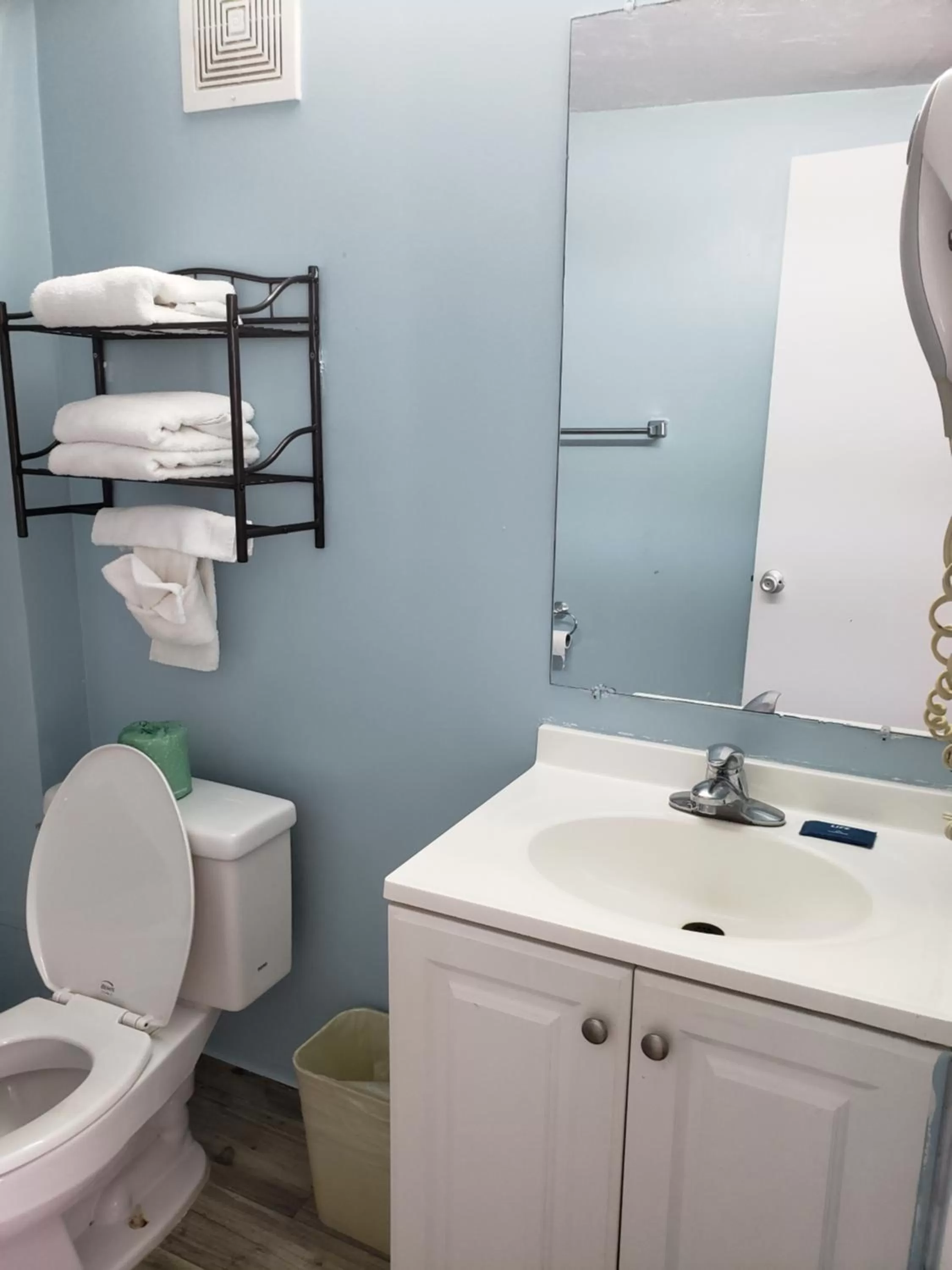 Bathroom in Topaz Motel - Flagler Beach