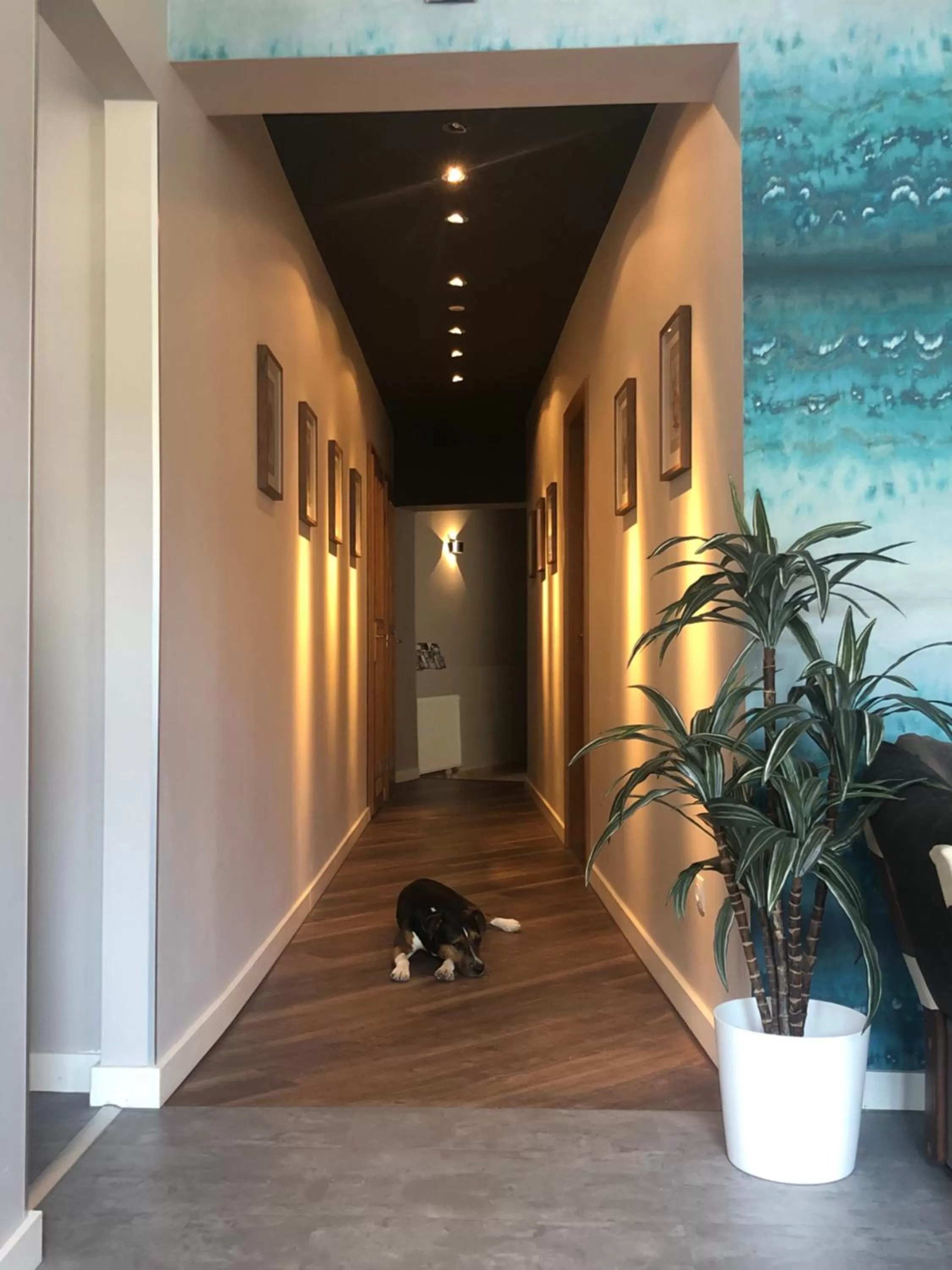 Lobby or reception in Margaréta Garden & SPA