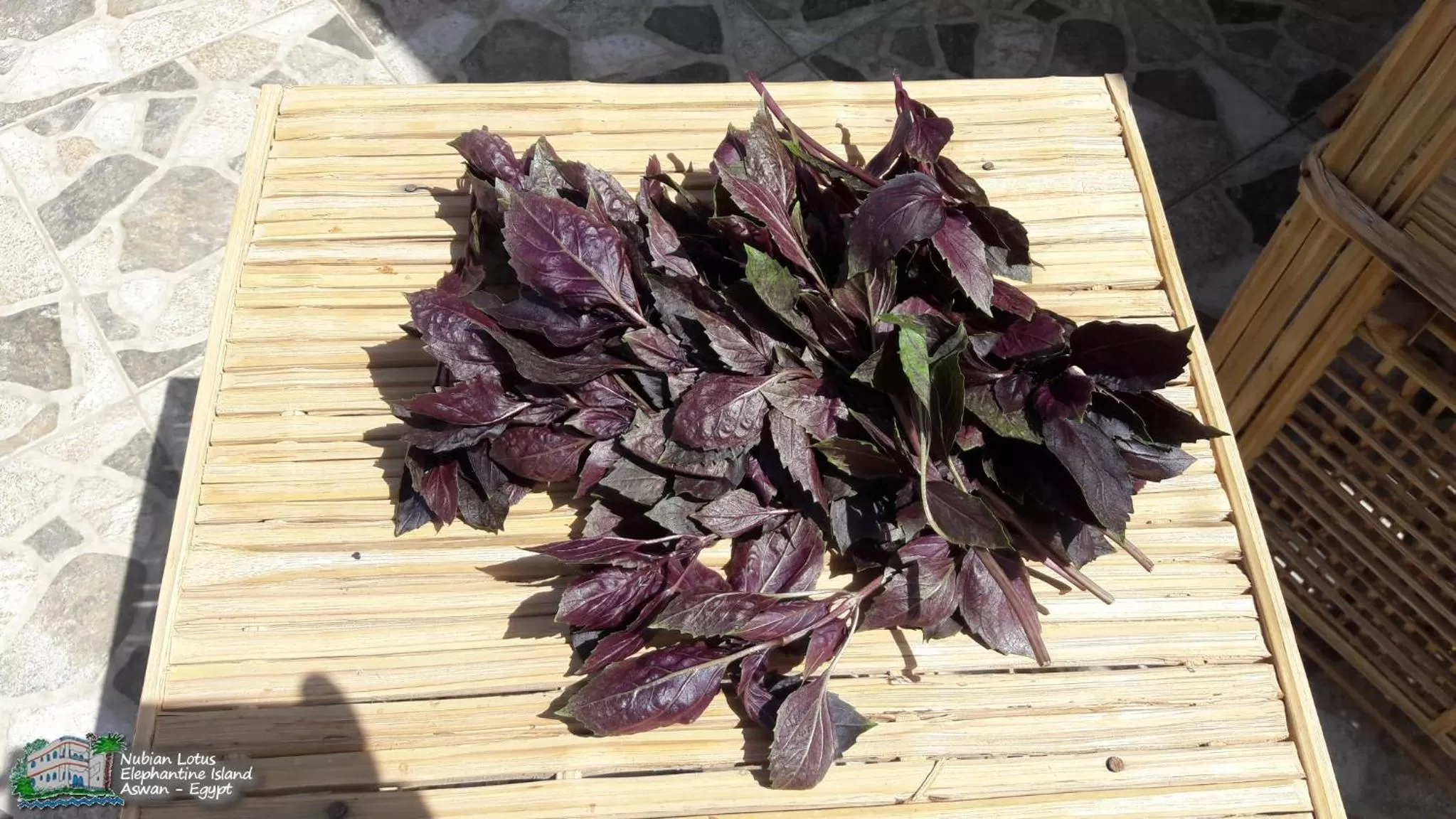 Restaurant/places to eat in Nubian Lotus