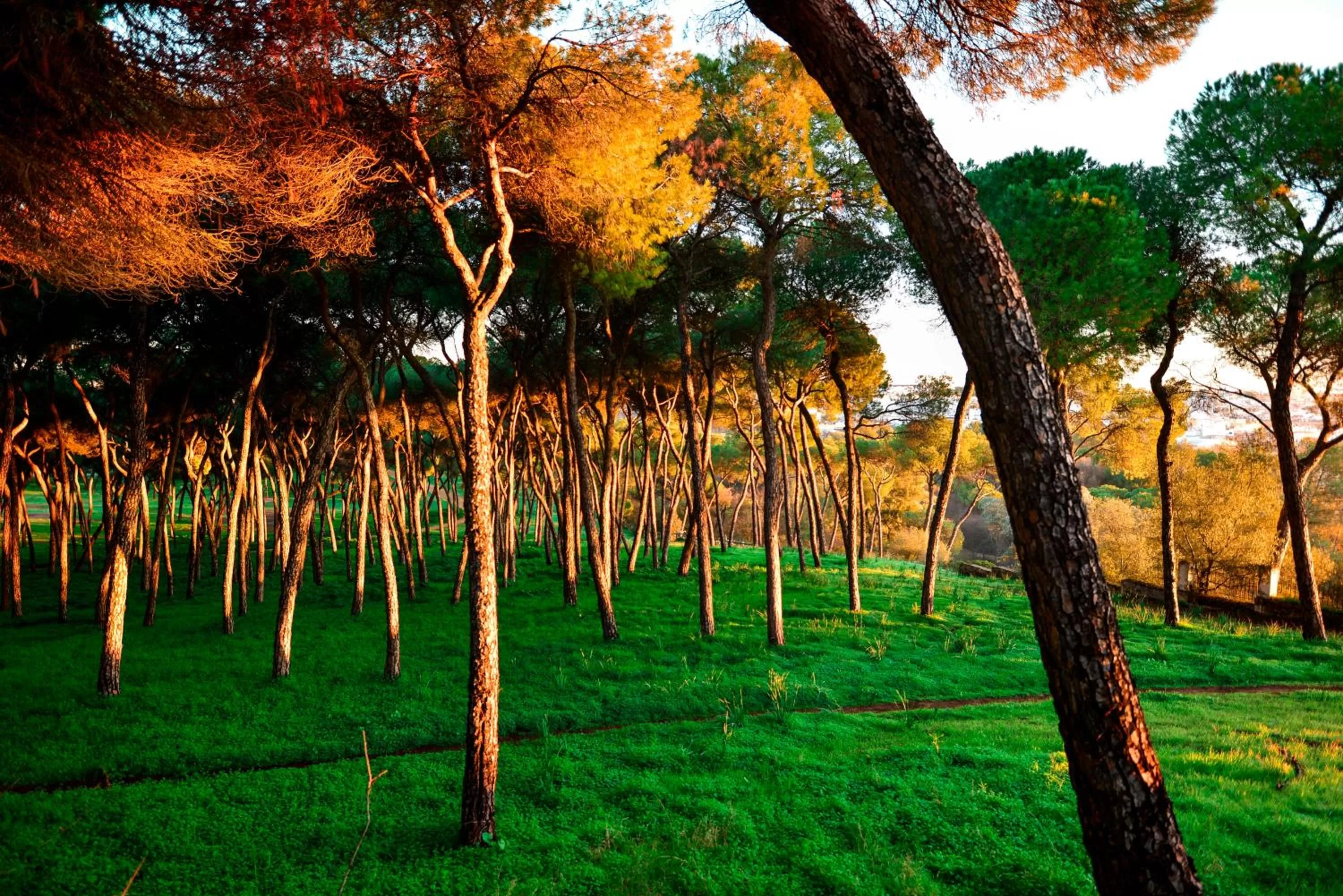 Nearby landmark in Hotel Oromana