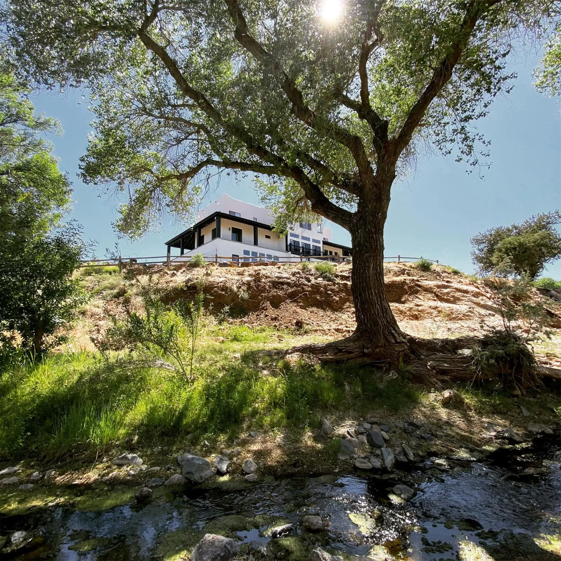 Natural landscape in Creekside Lodge and Cabins